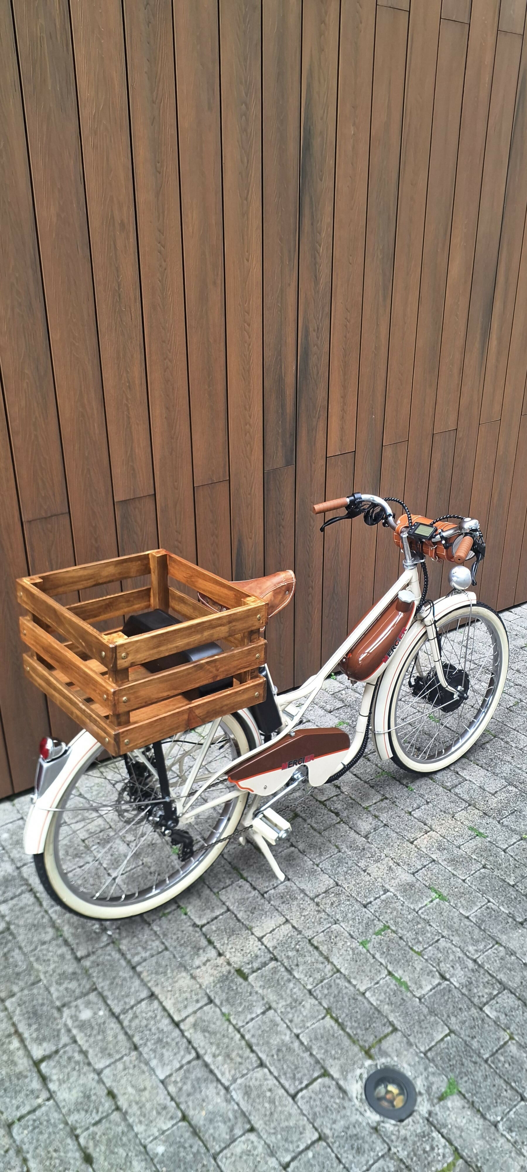 Mobilete Mercier Anos 50 Convertida para Bicicleta Elétrica