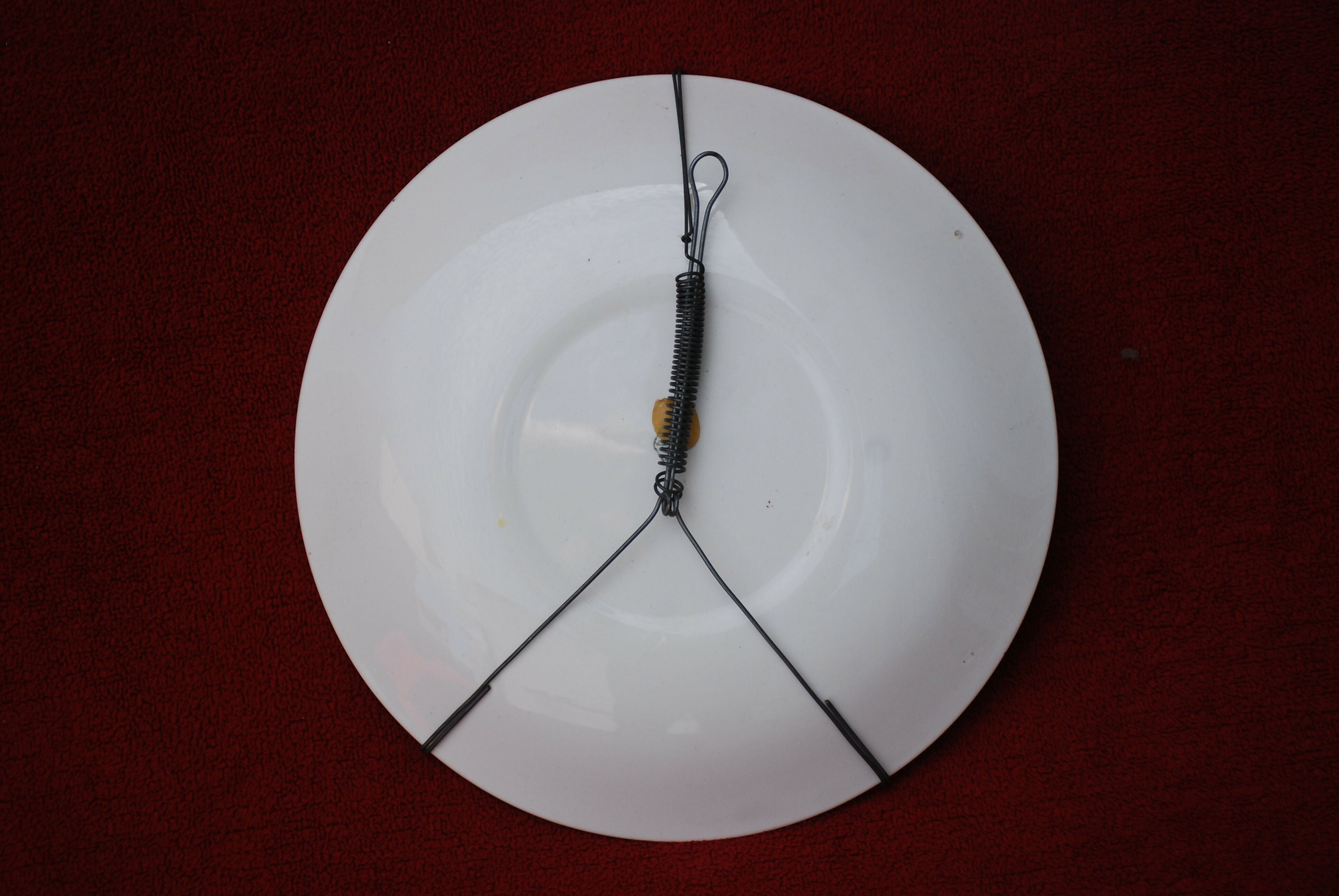 prato em porcelana nacional (Nadir) para coleção, anos 60 - 70