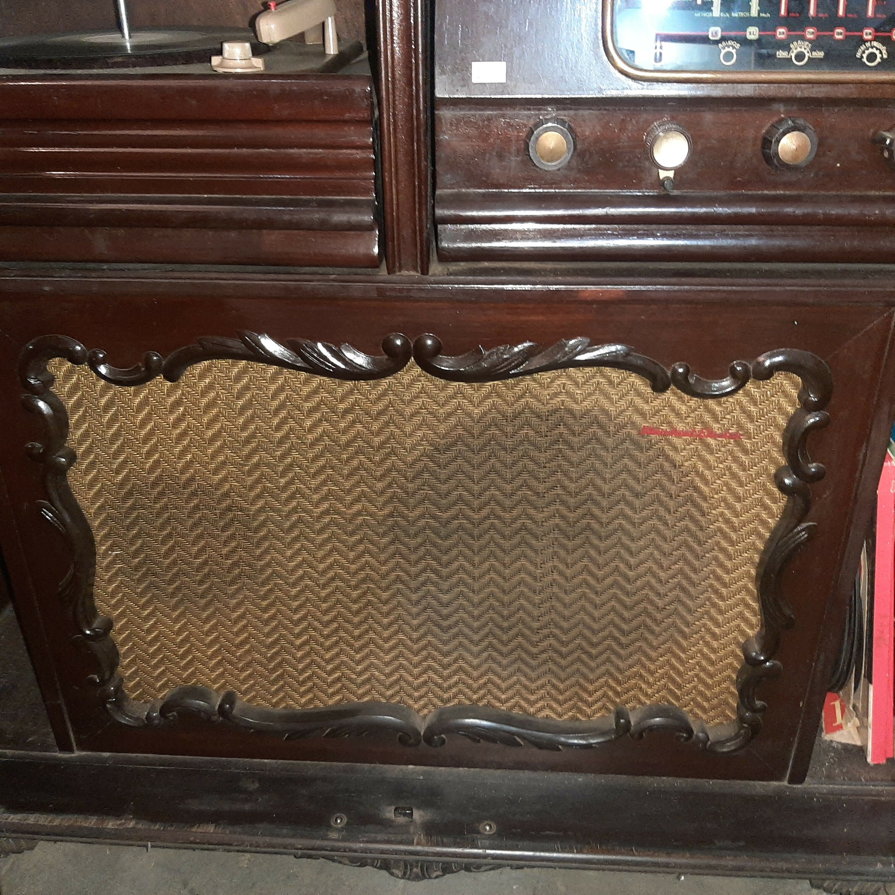 Antiga radiola