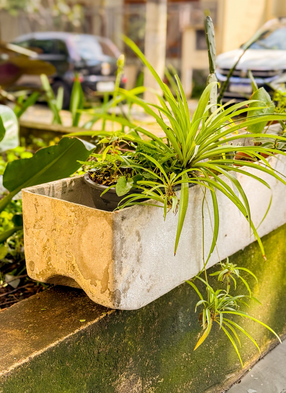 Vasos de plantas retangular estilo Eternit