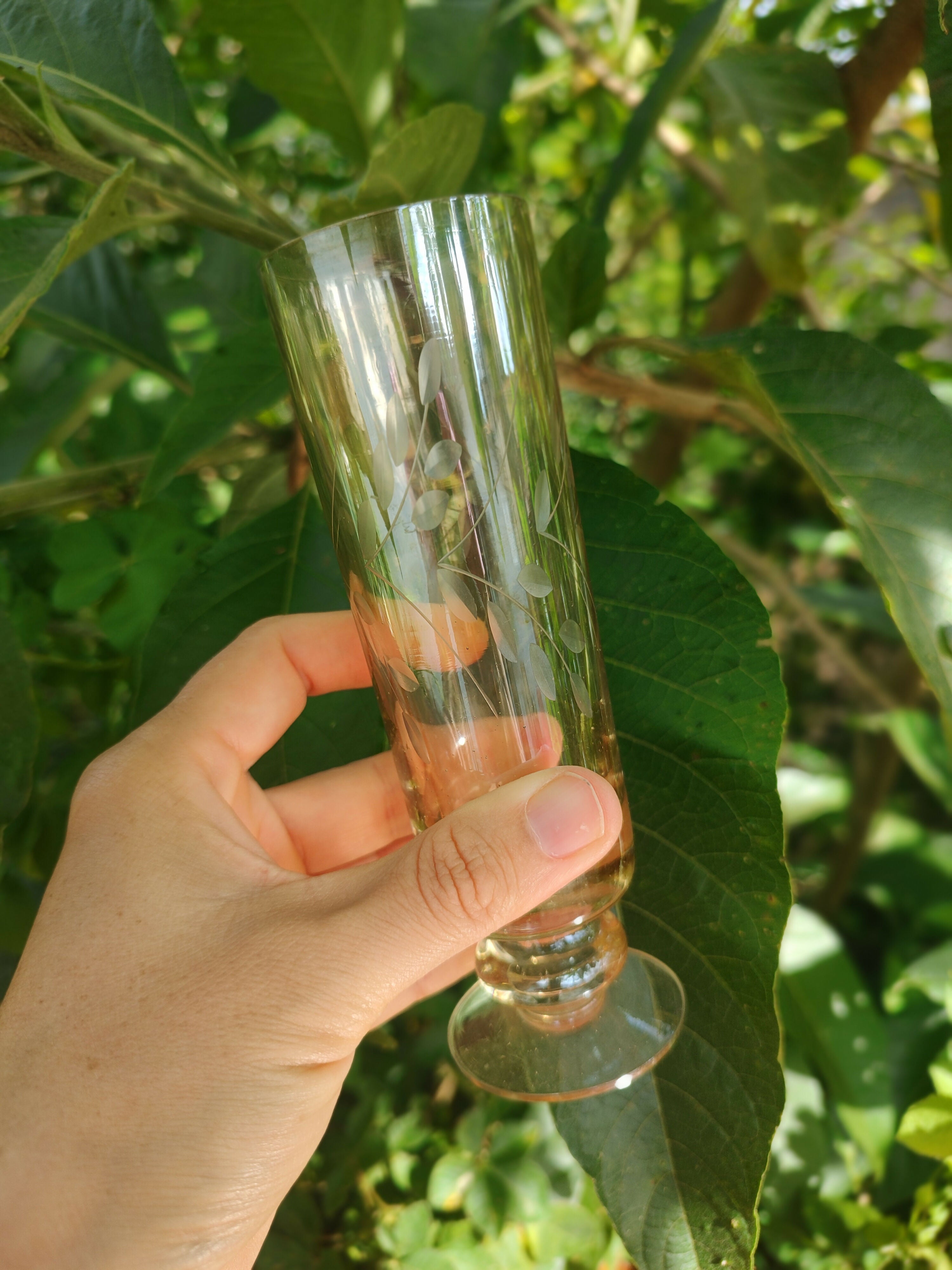 Conjunto de 5 Antigas Taças de Champagne Lapidadas em vidro levemente âmbar