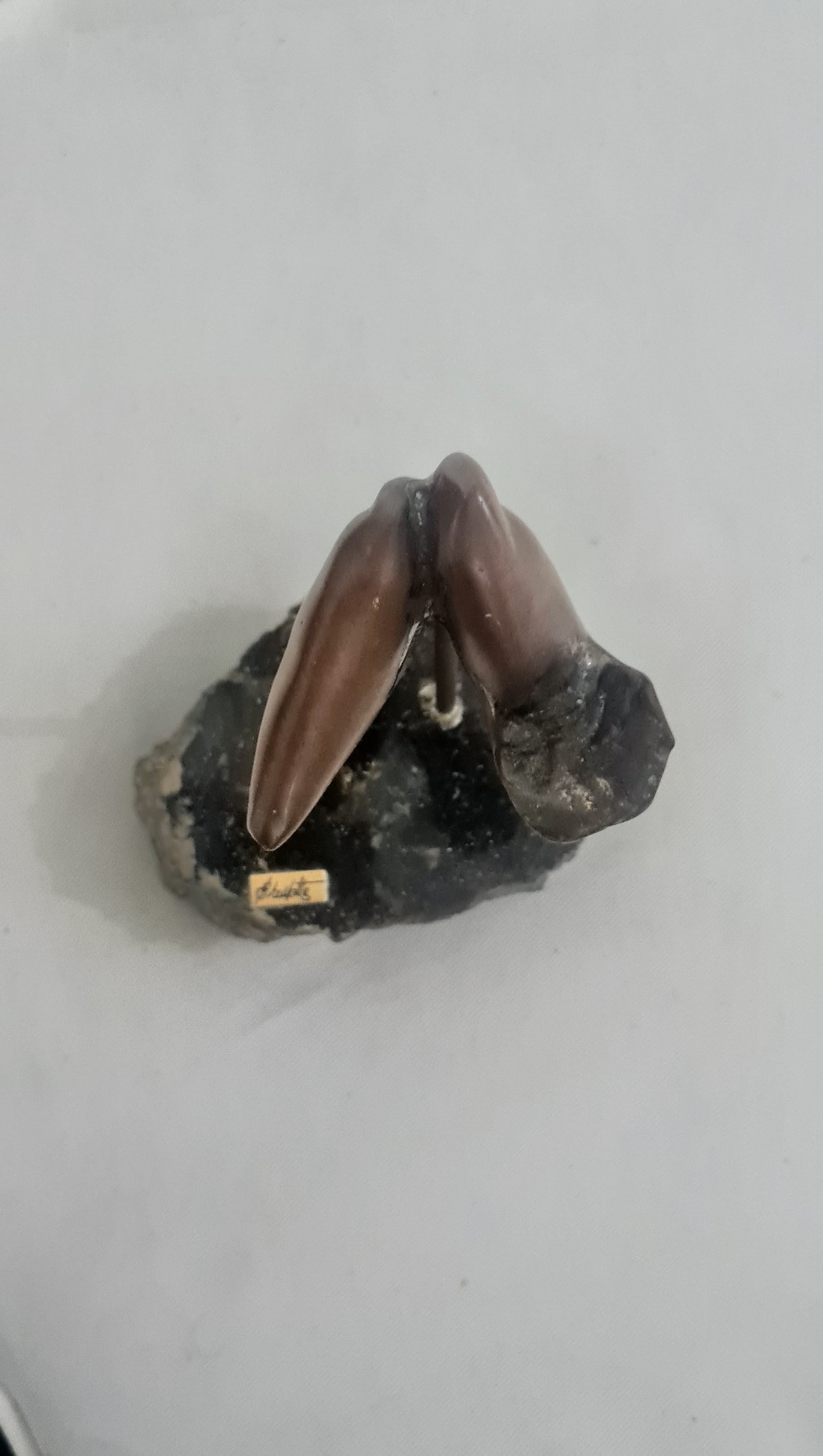 Escultura Modernista em Bronze sobre Granito Bruto – Assinada Biba Mattos (16 cm)