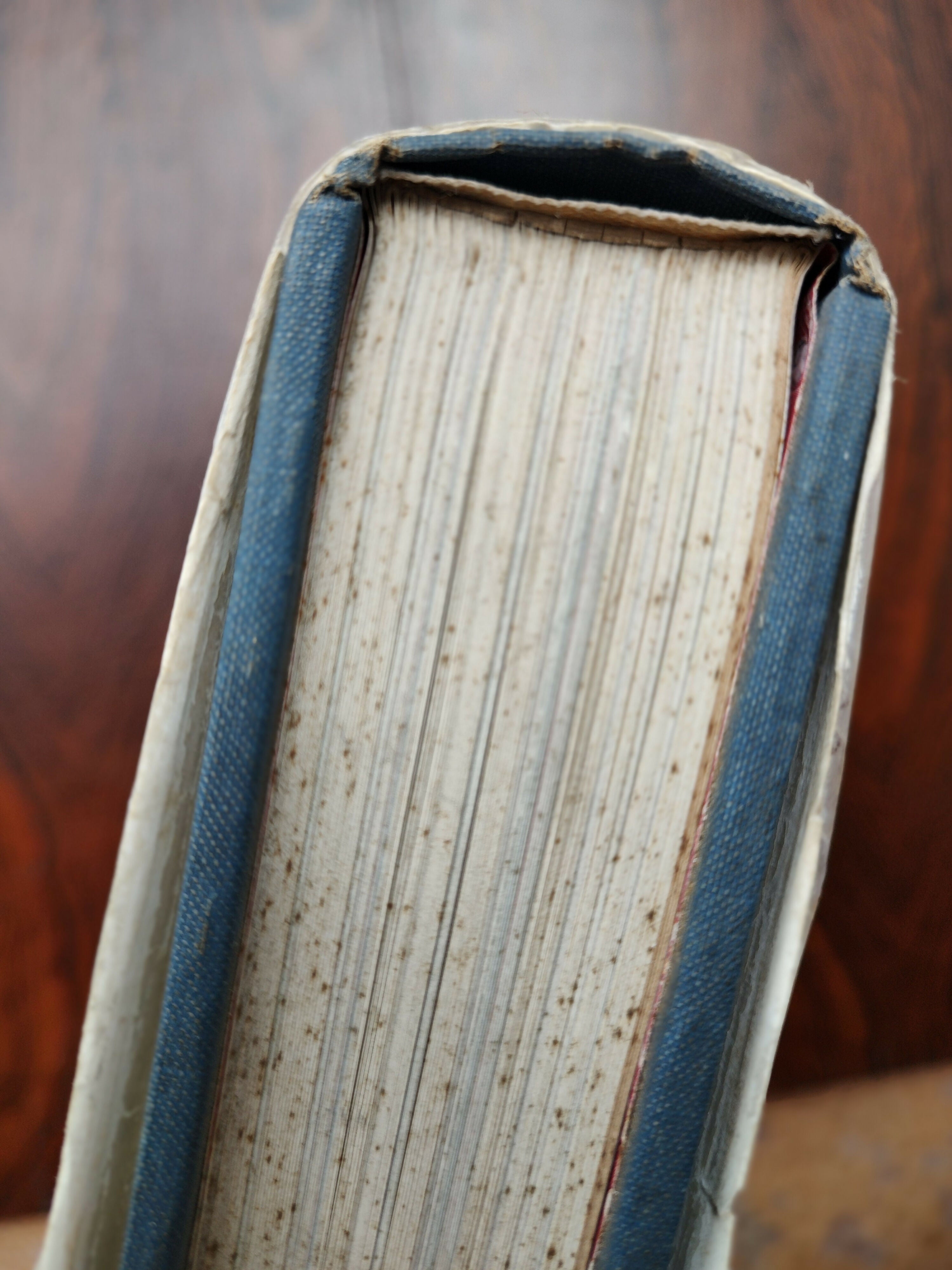 Raríssimo Livro &quot;Art Bronzes&quot; de Michael Forrest - edição em Inglês de 1988