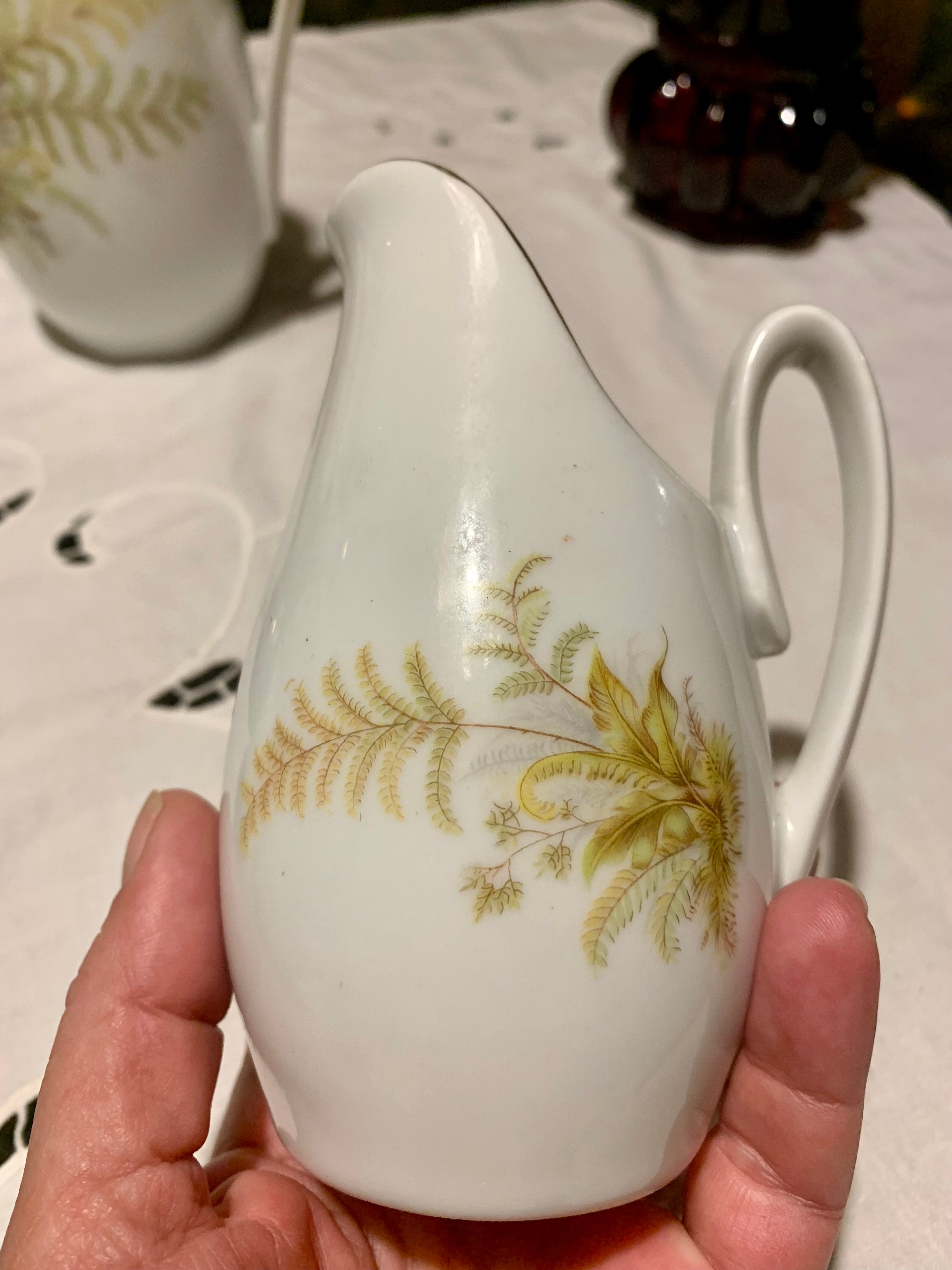 Lindo e raro conjunto porcelana Real com samambaias