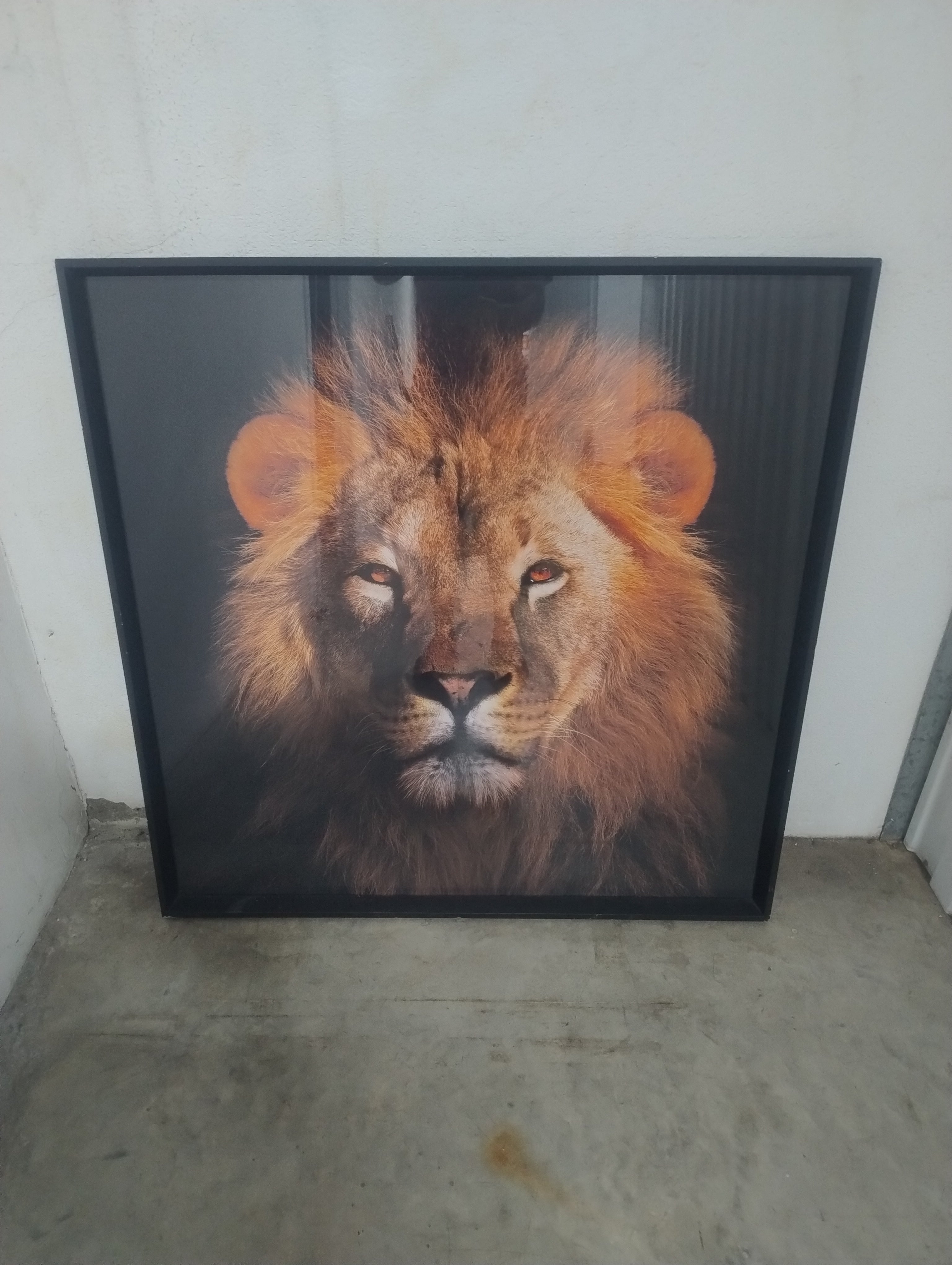 Quadro Decorativo Leão com Vidro