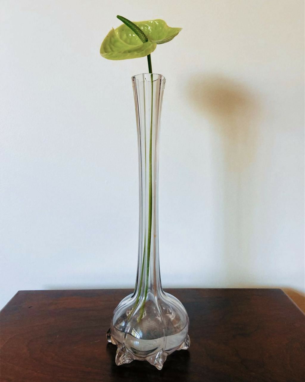 Vaso Solifleur Translúcido (DMPS_39)
