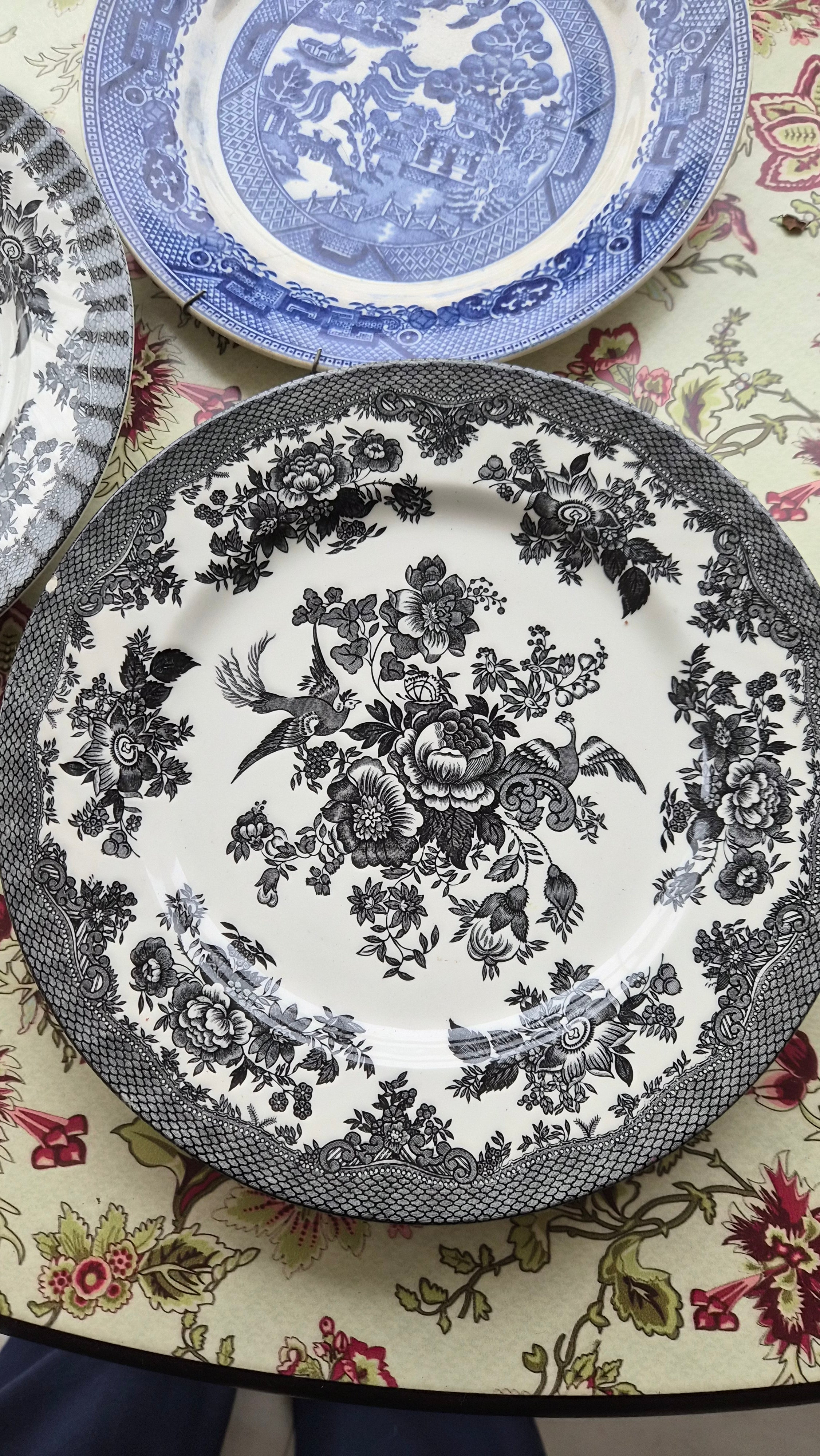 Trio de Pratos ingleses Variados (em preto e azul) 