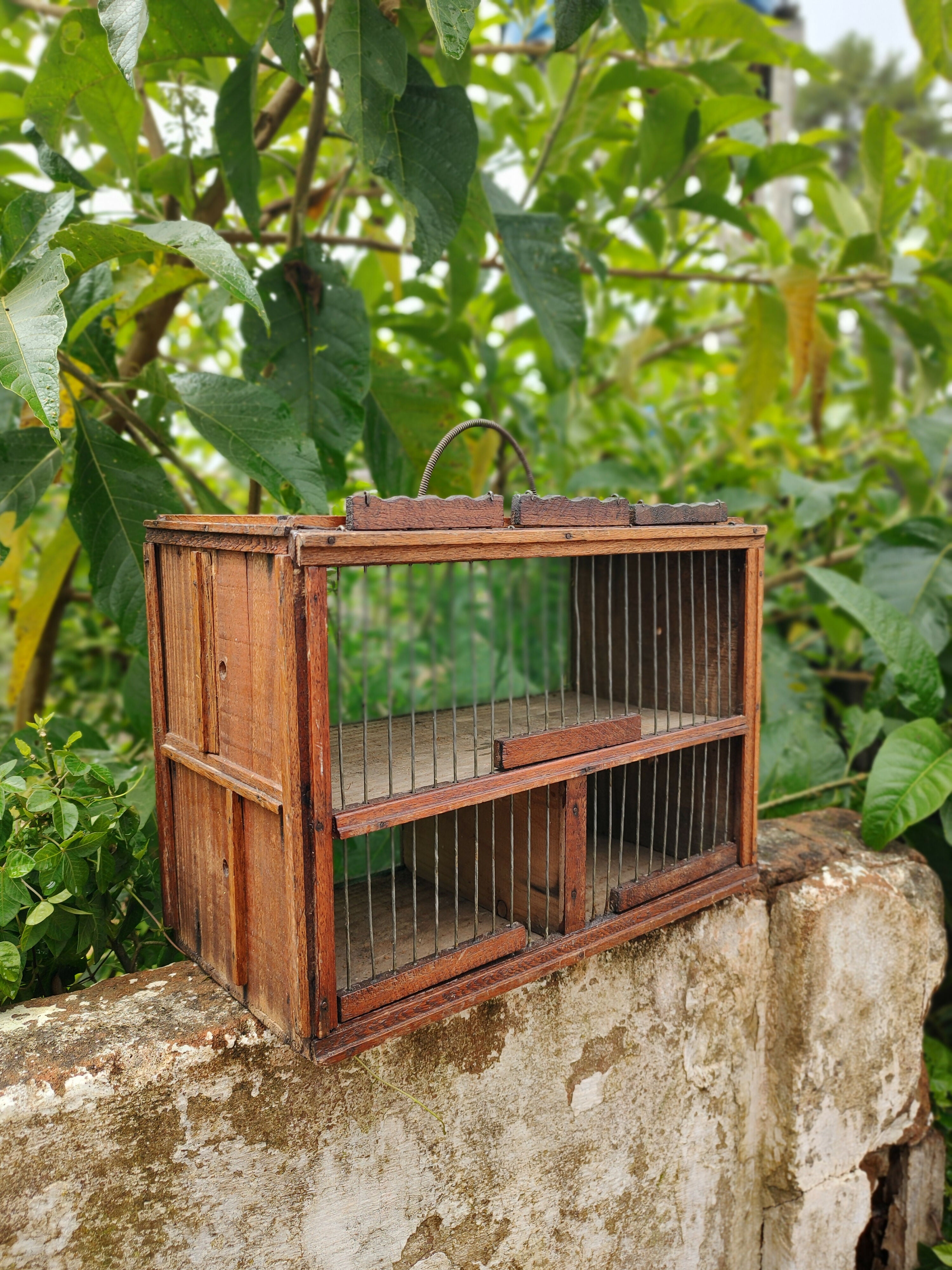 Antiga Gaiola Artesanal / Mala de transportar pássaros, feita em madeira - anos 60
