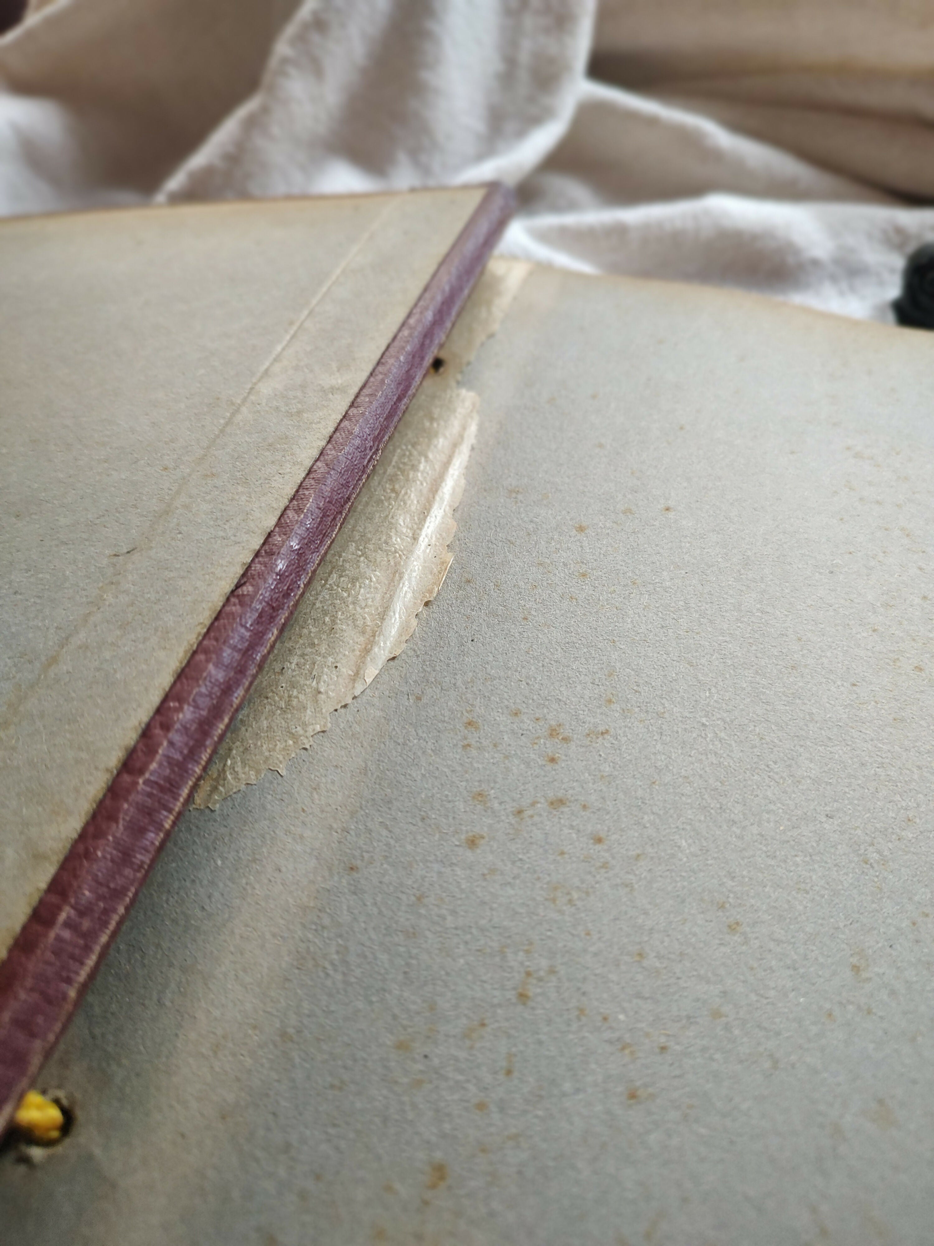 Antigo álbum de fotos "Nossa Família" com capa em madeira (30cm x 28cm)