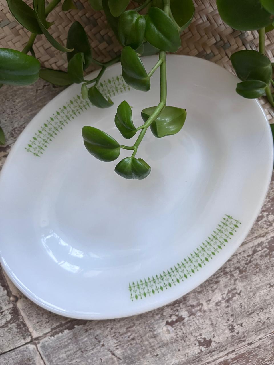 Travessa Oval da Termo-Rey modelo gravatinha em verde 