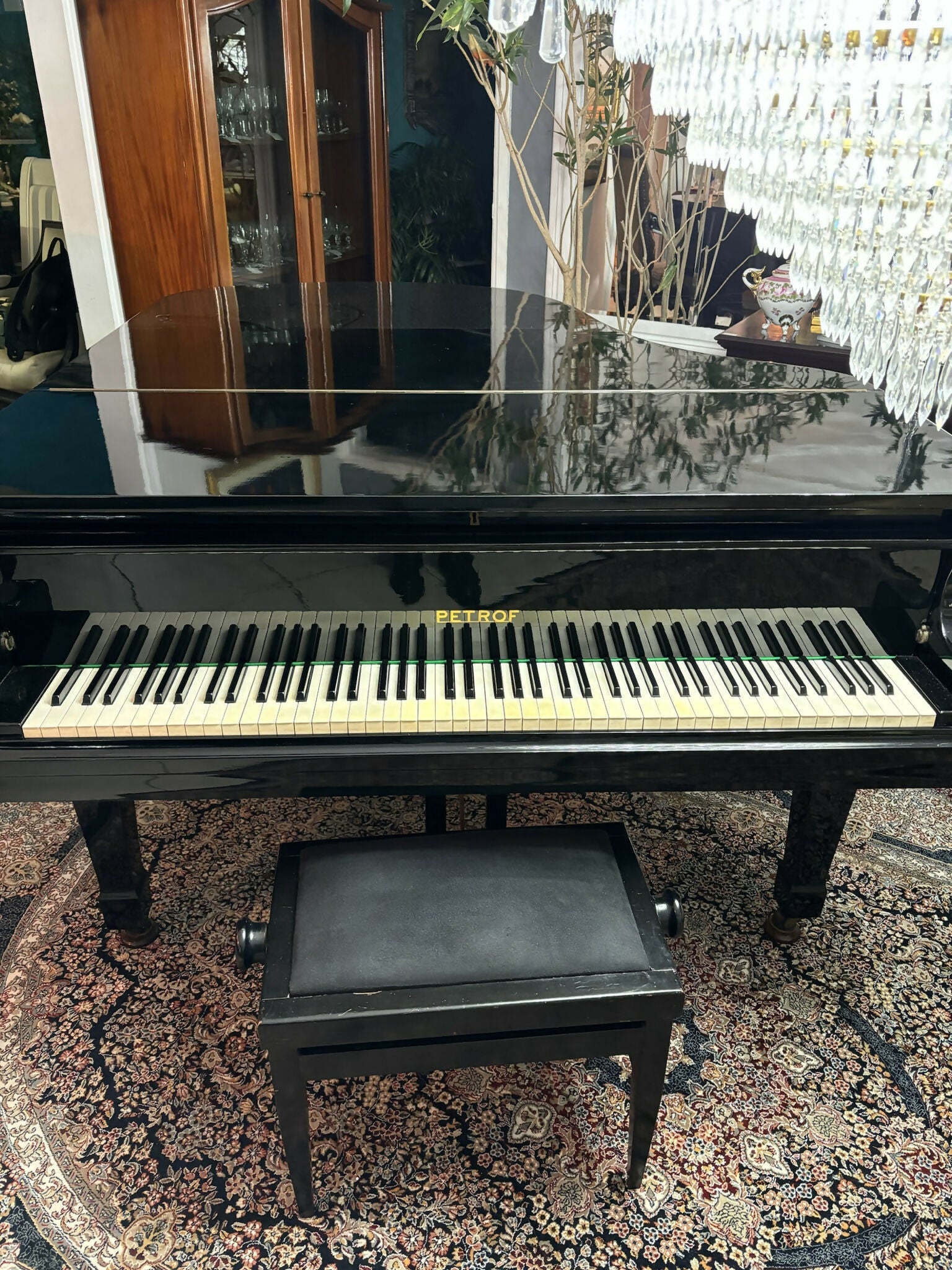 Piano de cauda Petrof