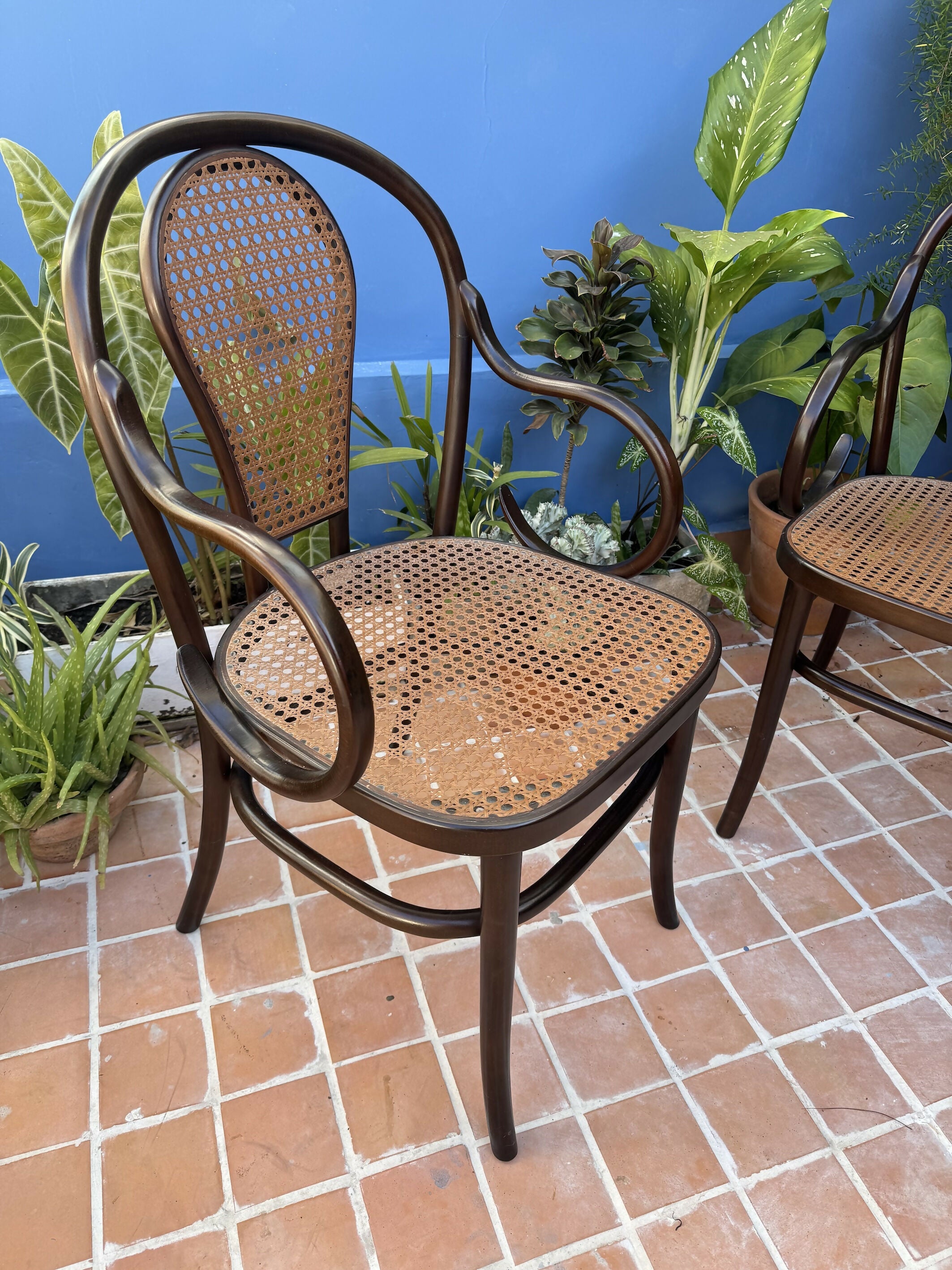 Antigas THONET AUSTRÍACAS - poltronas em palhinha