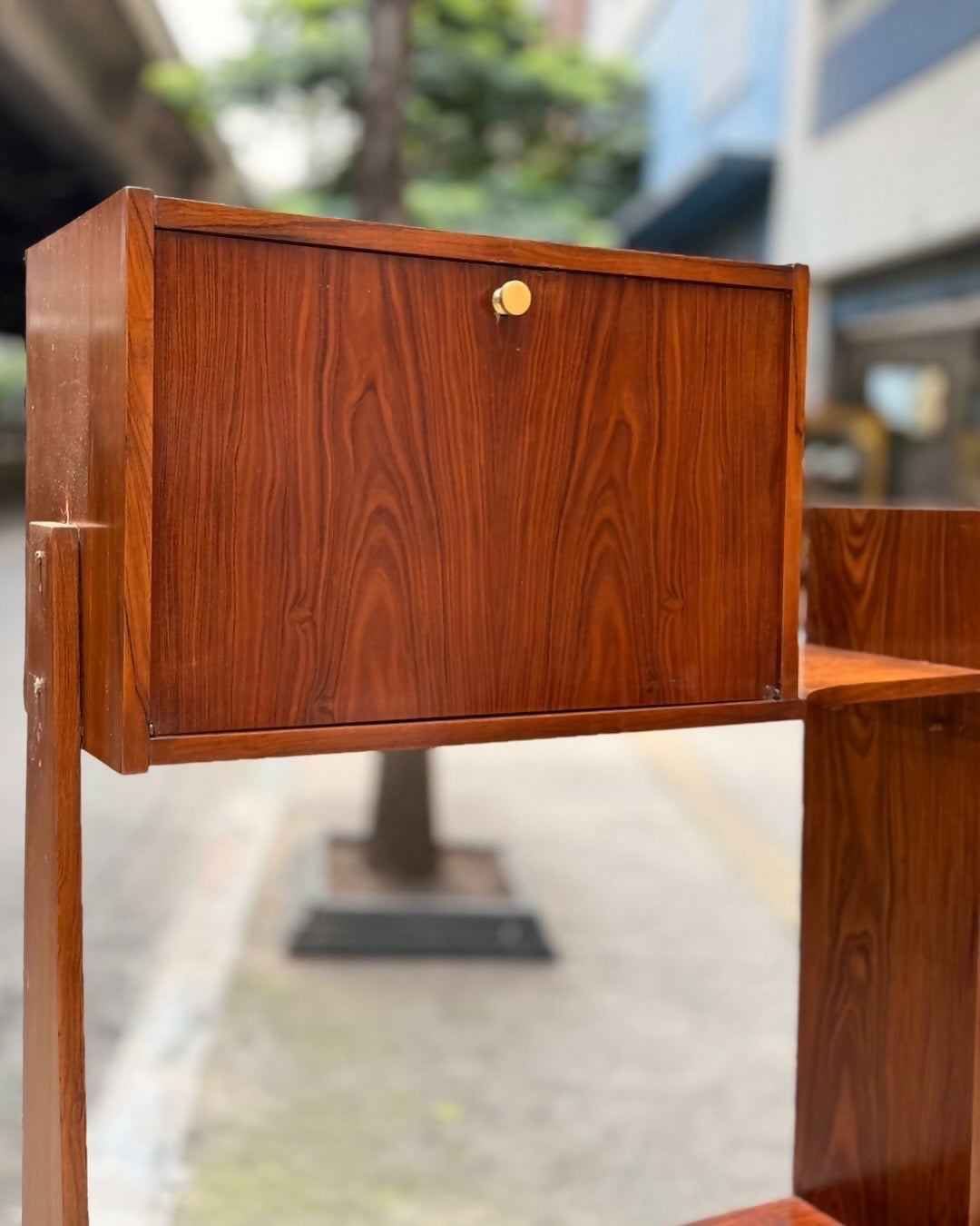 Estante anos 60 em Caviúna