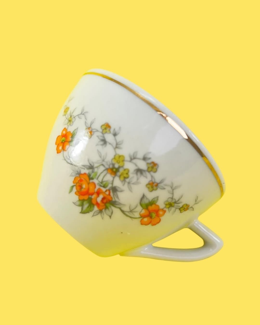 6 Xícaras de Chá Porcelana Pozzani