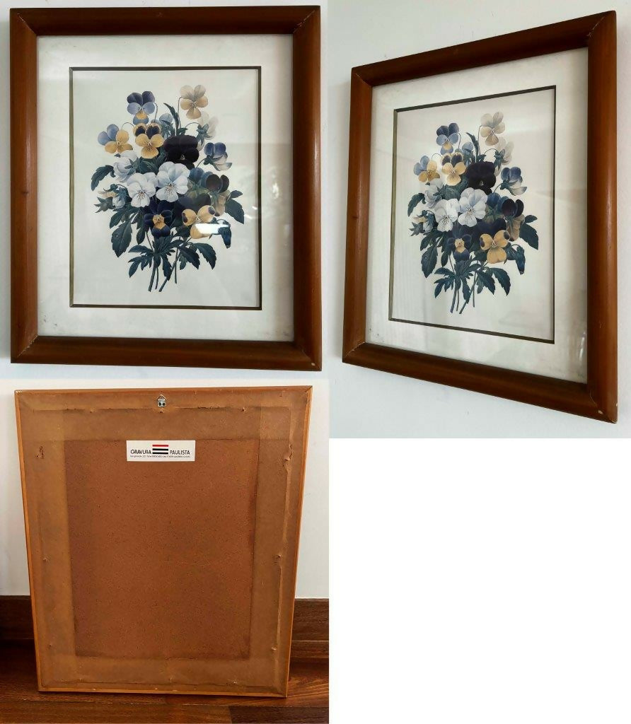 Conjunto de 8 Quadros decorativos com moldura de madeira e vidro