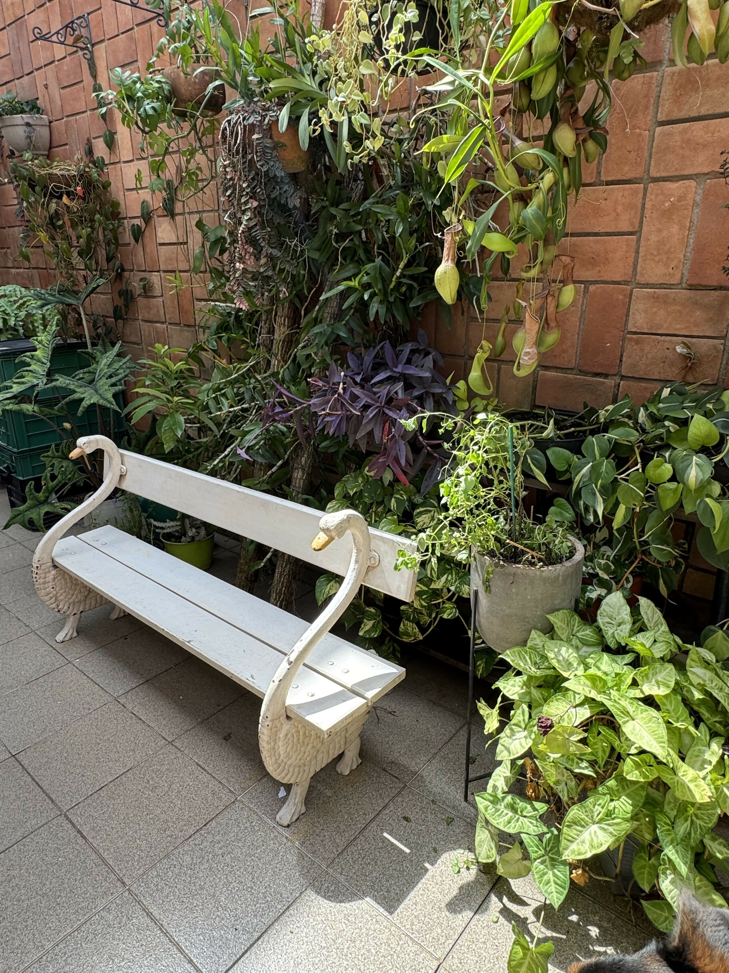 Banco de madeira em formato de dois cisnes