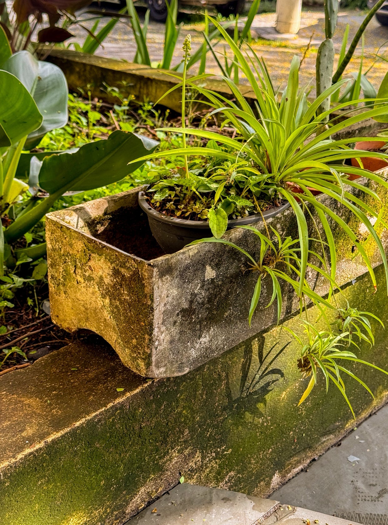 Vaso de plantas retangular estilo Eternit