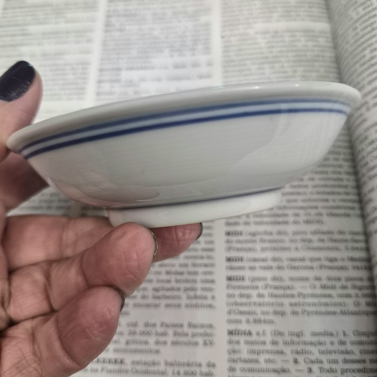 Conjunto de 12 molheiras em porcelana chinesa Jingdezhen,  padrão clássico Blue Willow.  Maravilhosa sempre. Impecáveis!