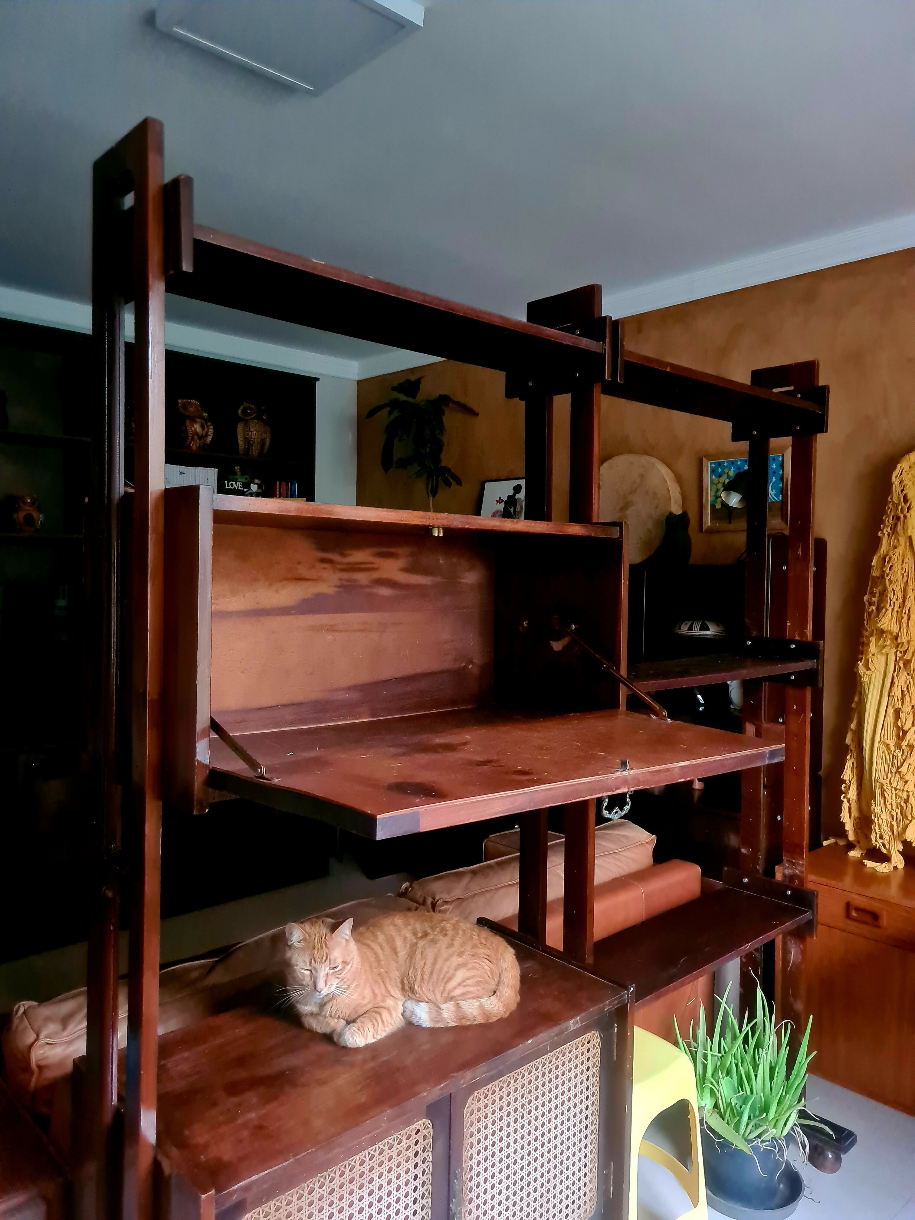 Estante dos anos 60 com barzinho.