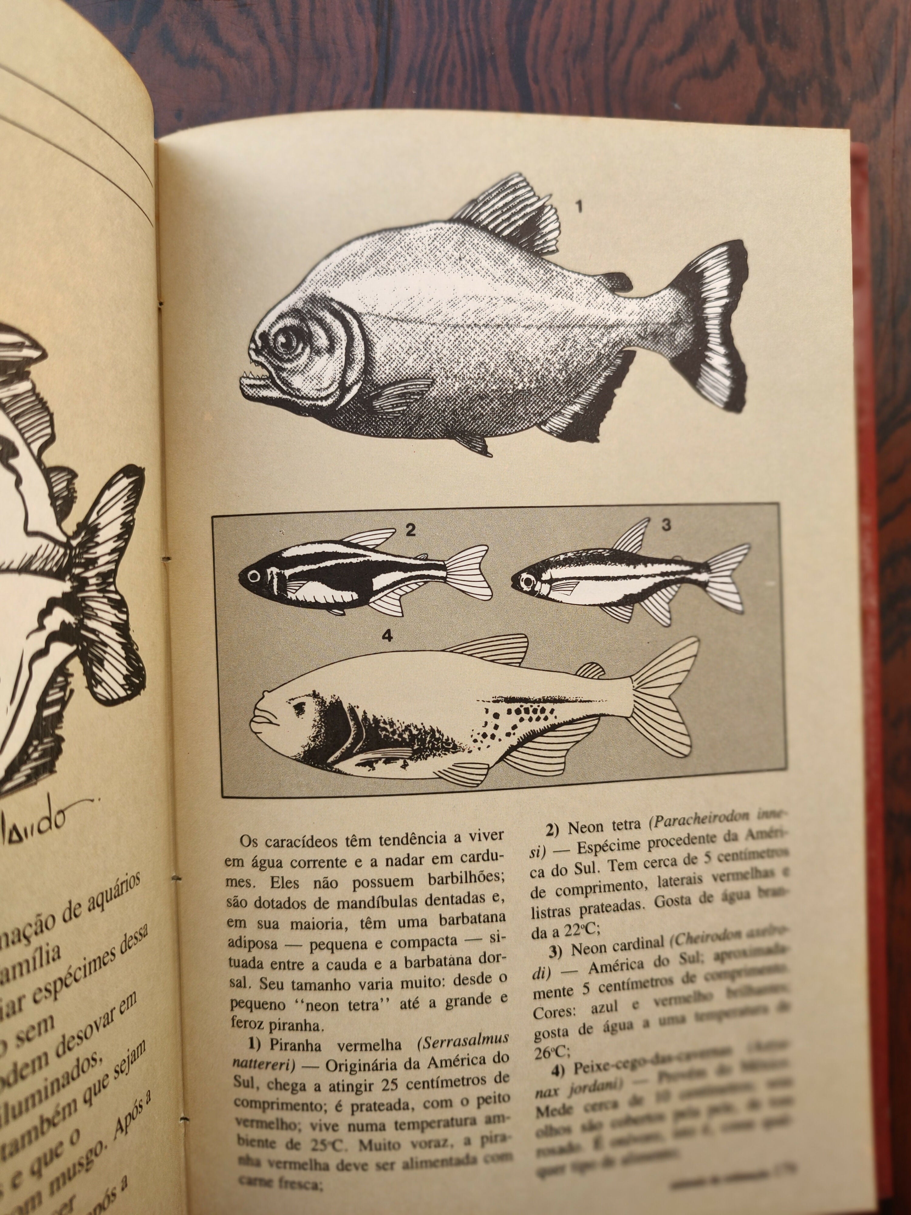 Livro &quot;Animais de Estimação&quot; - um guia prático de 1980