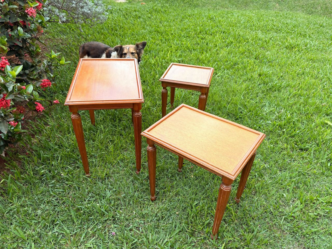 Trio de mesinhas (ninho) em madeira