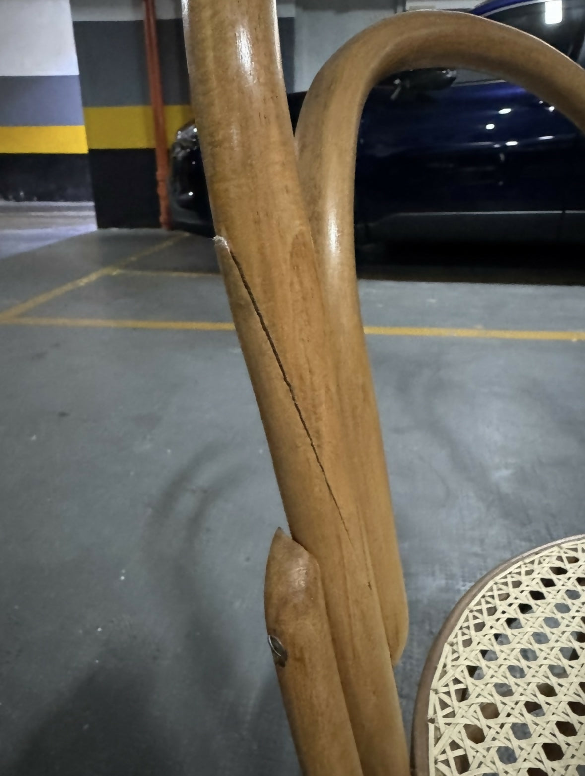 Par de cadeiras Thonart modelo Thonet