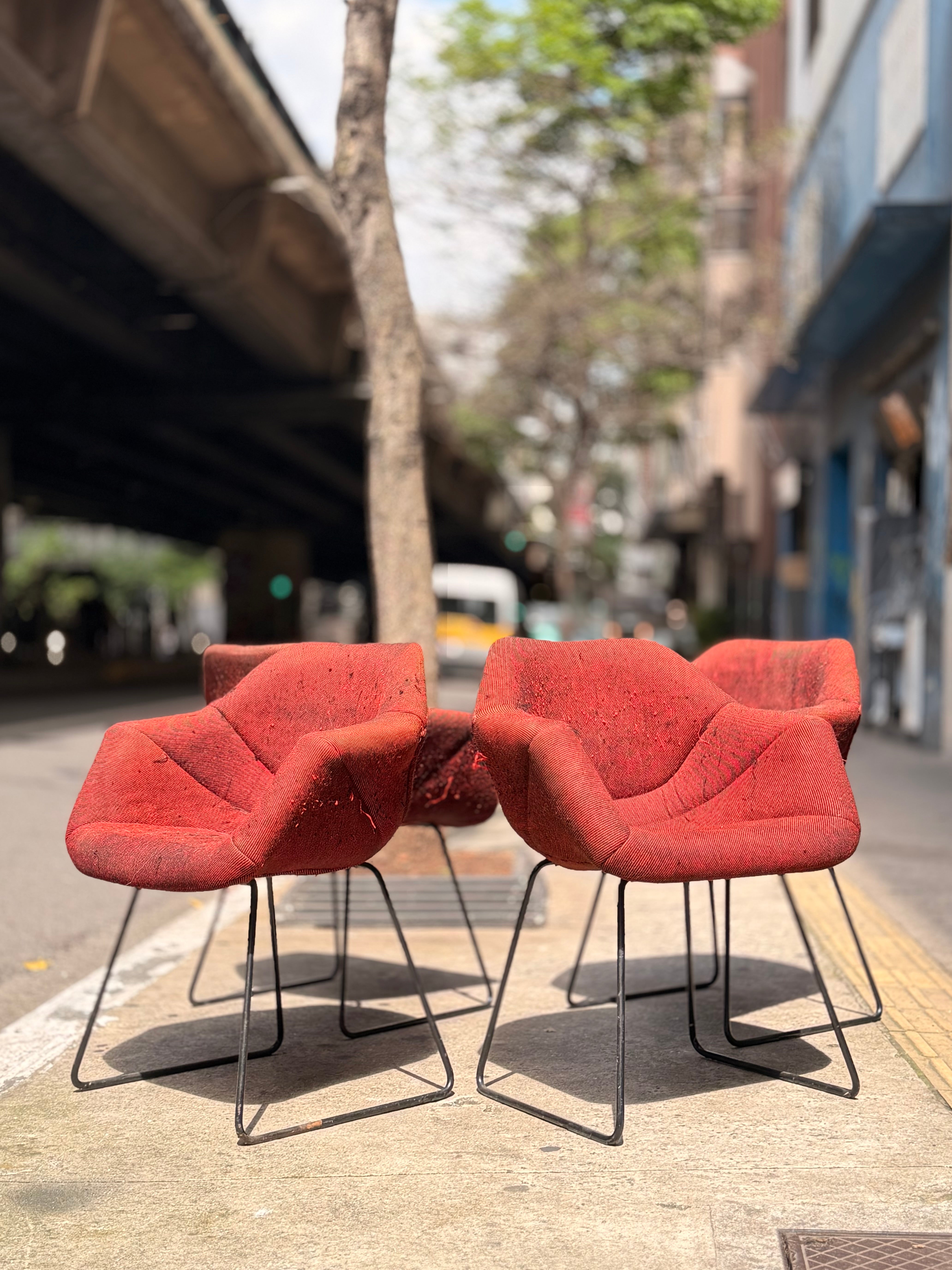 Poltronas Robin Day L&