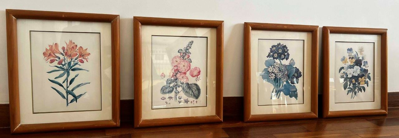 Conjunto de 8 Quadros decorativos com moldura de madeira e vidro