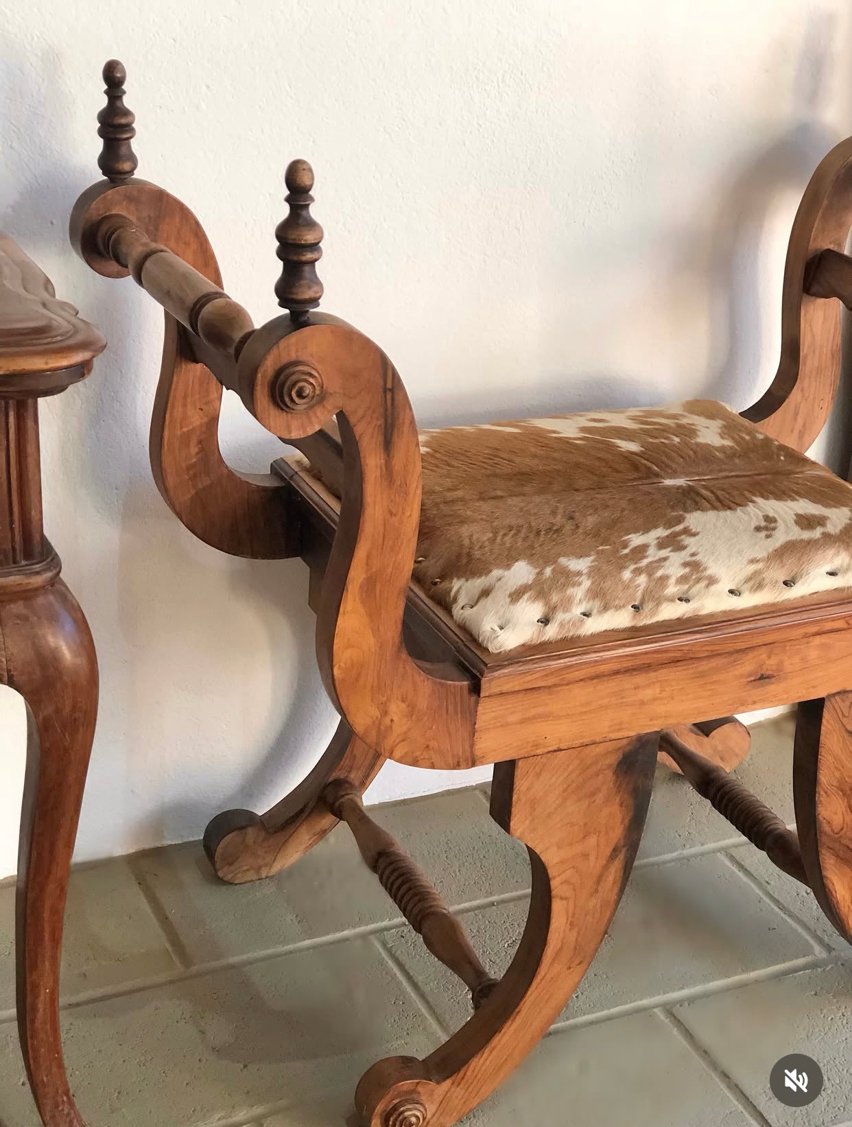 Marquesa / Banco curul em Jacarandá com estofado em couro de vaca malhada 