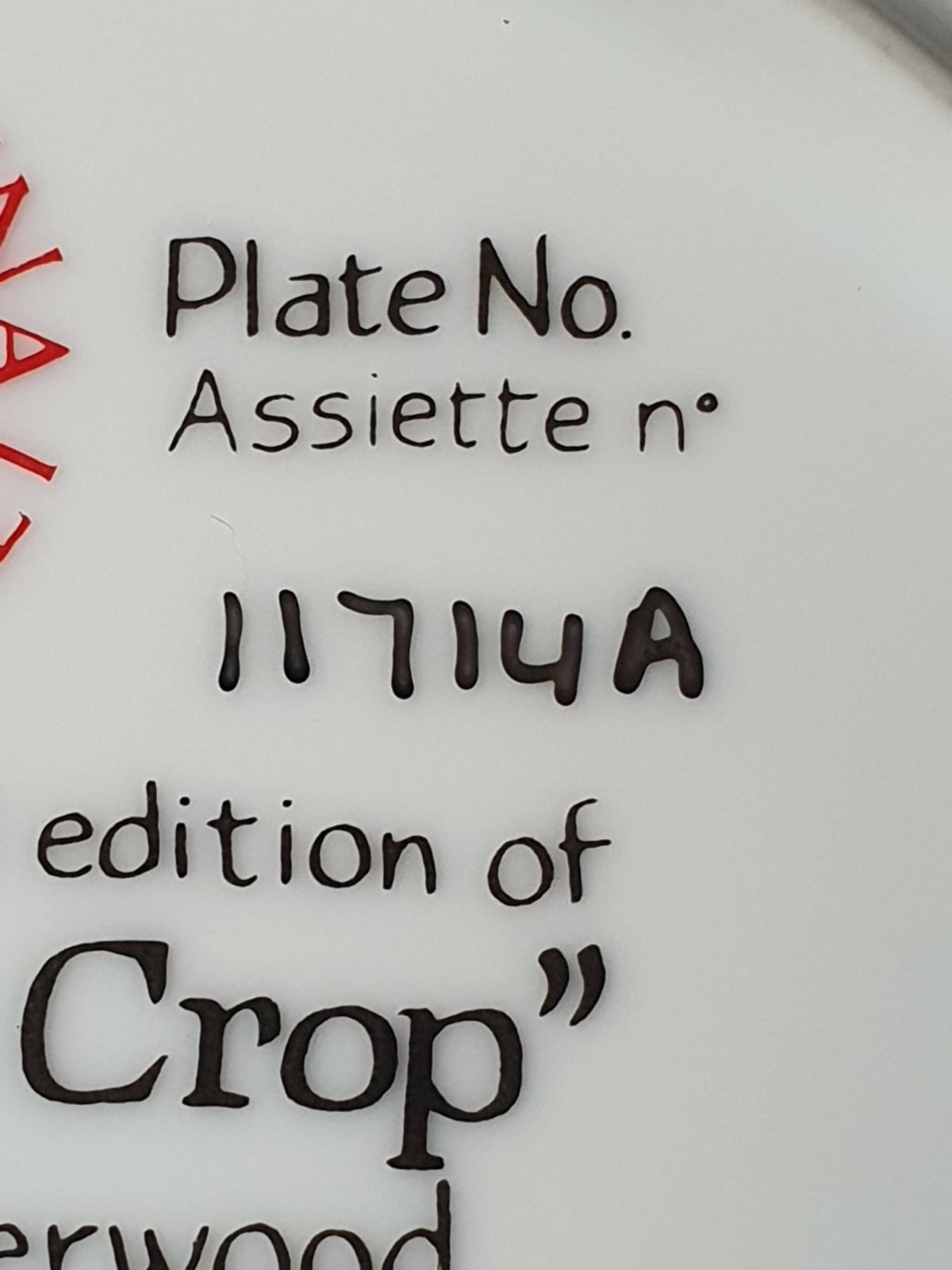 Prato decorativo raro de colecionador &quot;Pick of the Crop&quot;, 1987, Dominion China, Ontario Canada. Maravilhoso!