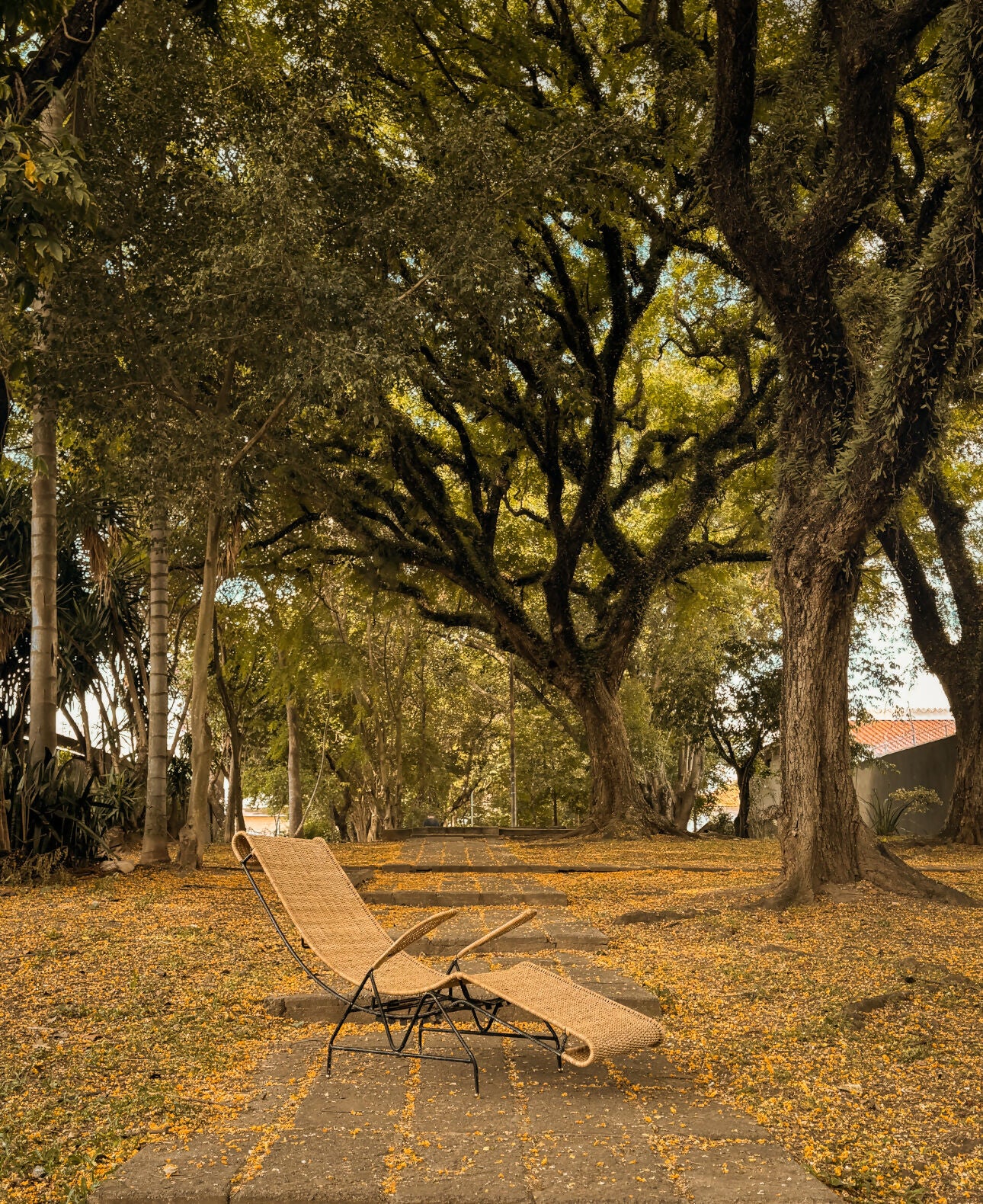 Espreguiçadeira modernista