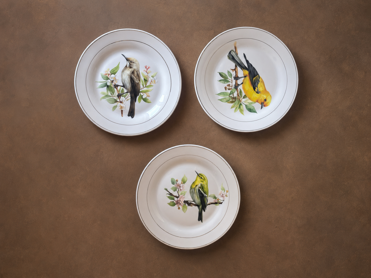 Trio de pratos decorativos com aves (DMCPS_656)