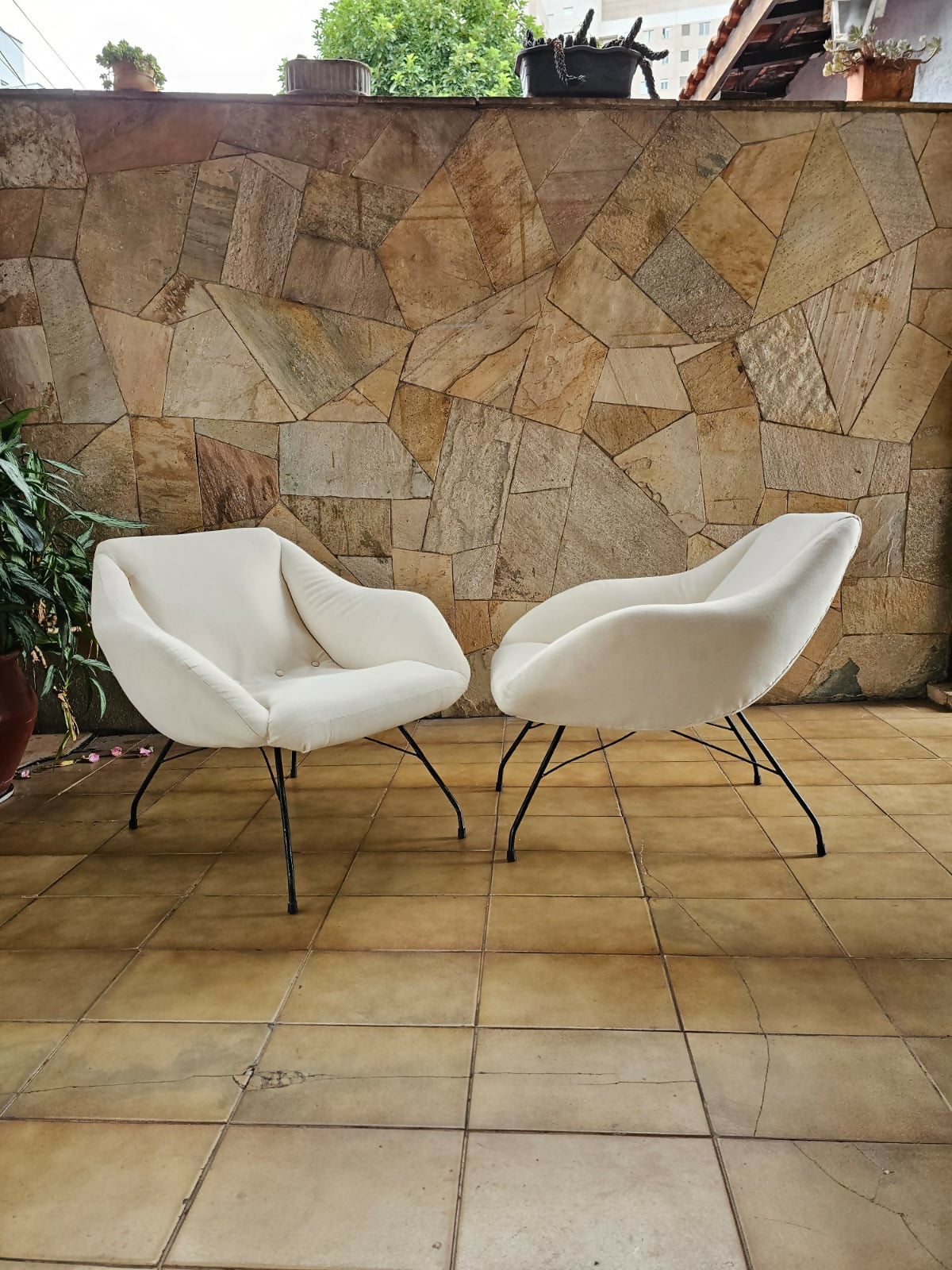 Par de poltronas "Concha" - Martin Eisler &amp; Carlo hauner ( Forma S.A)- 1954