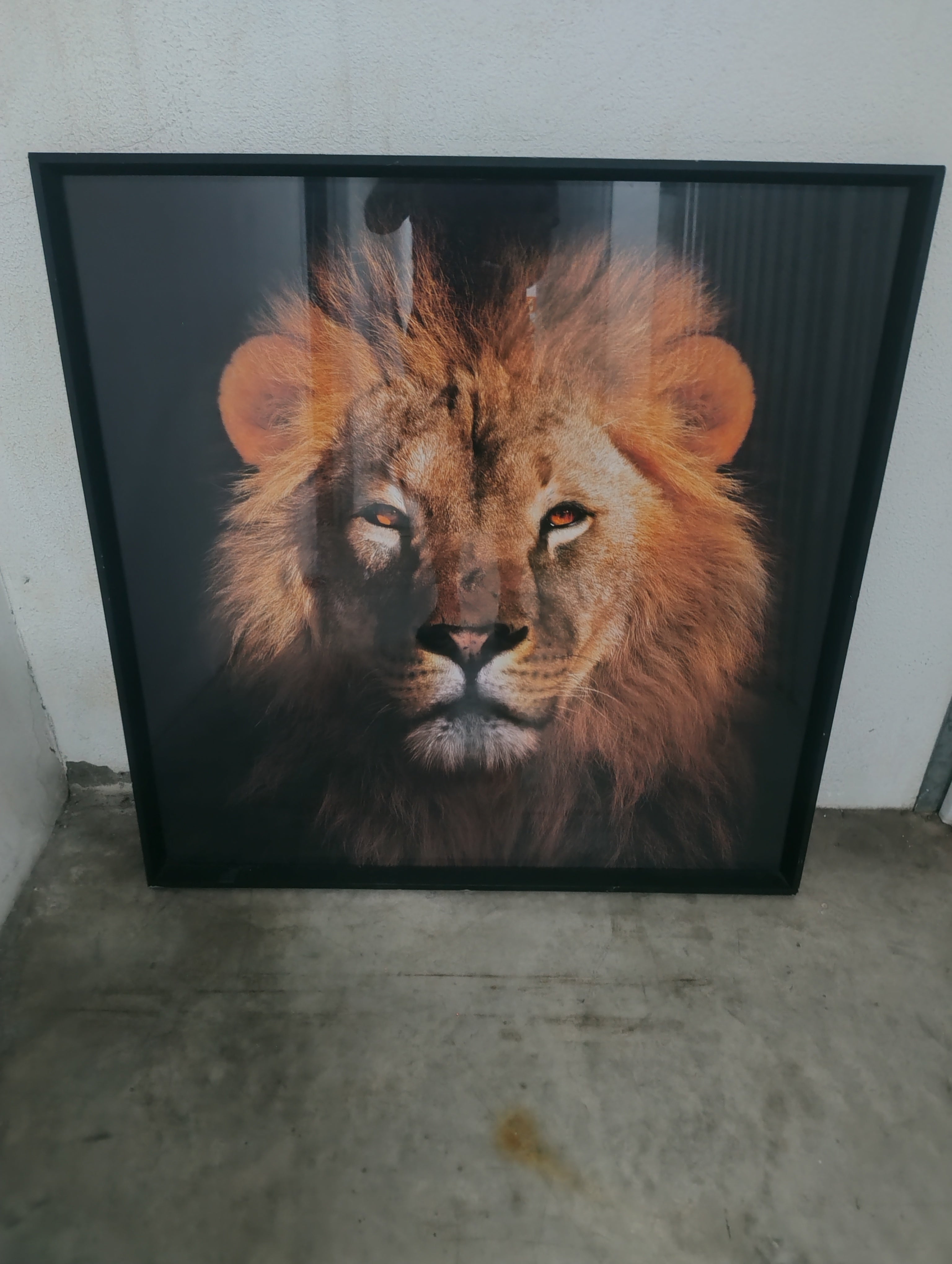 Quadro Decorativo Leão com Vidro
