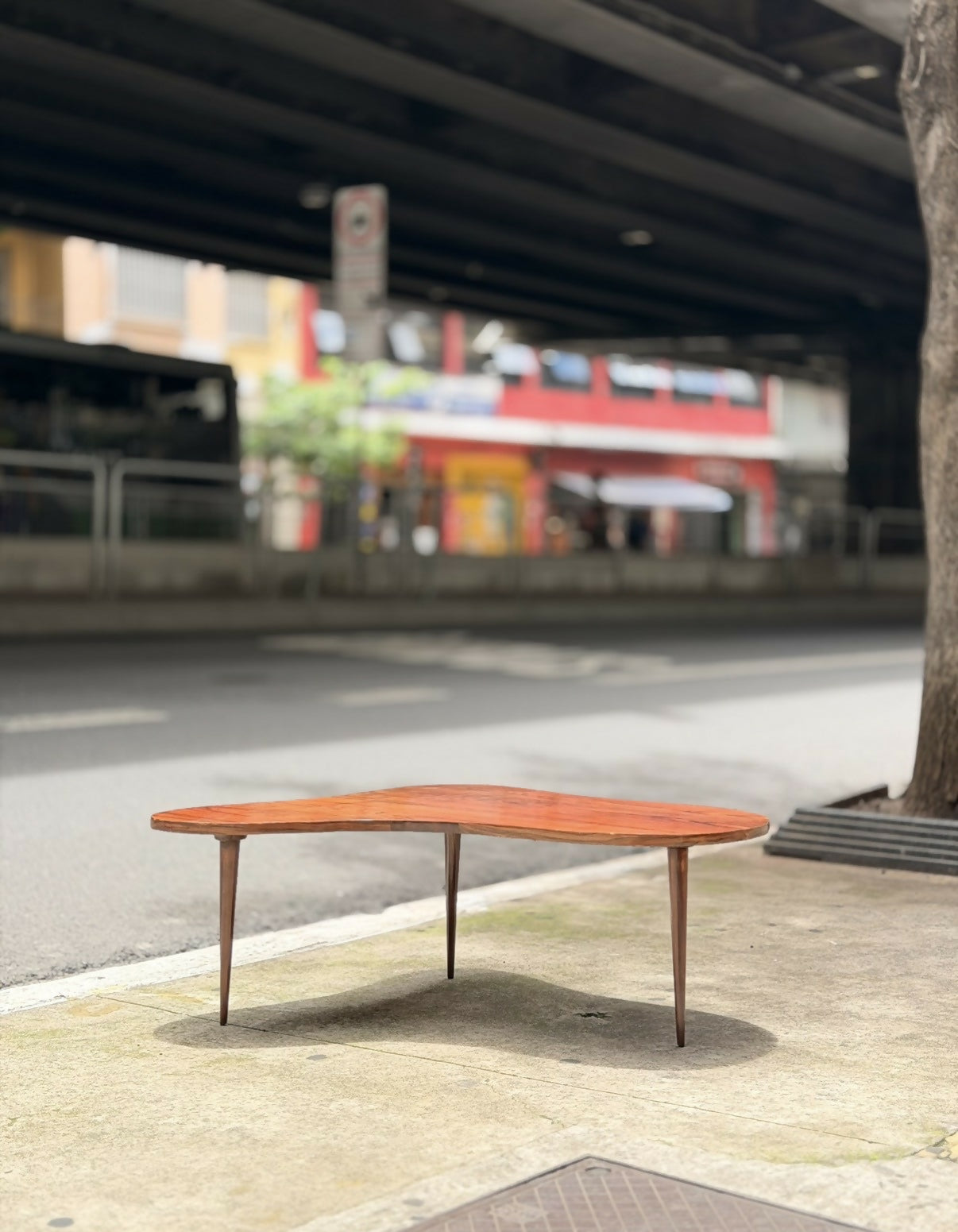 Mesa de Centro Orgânica