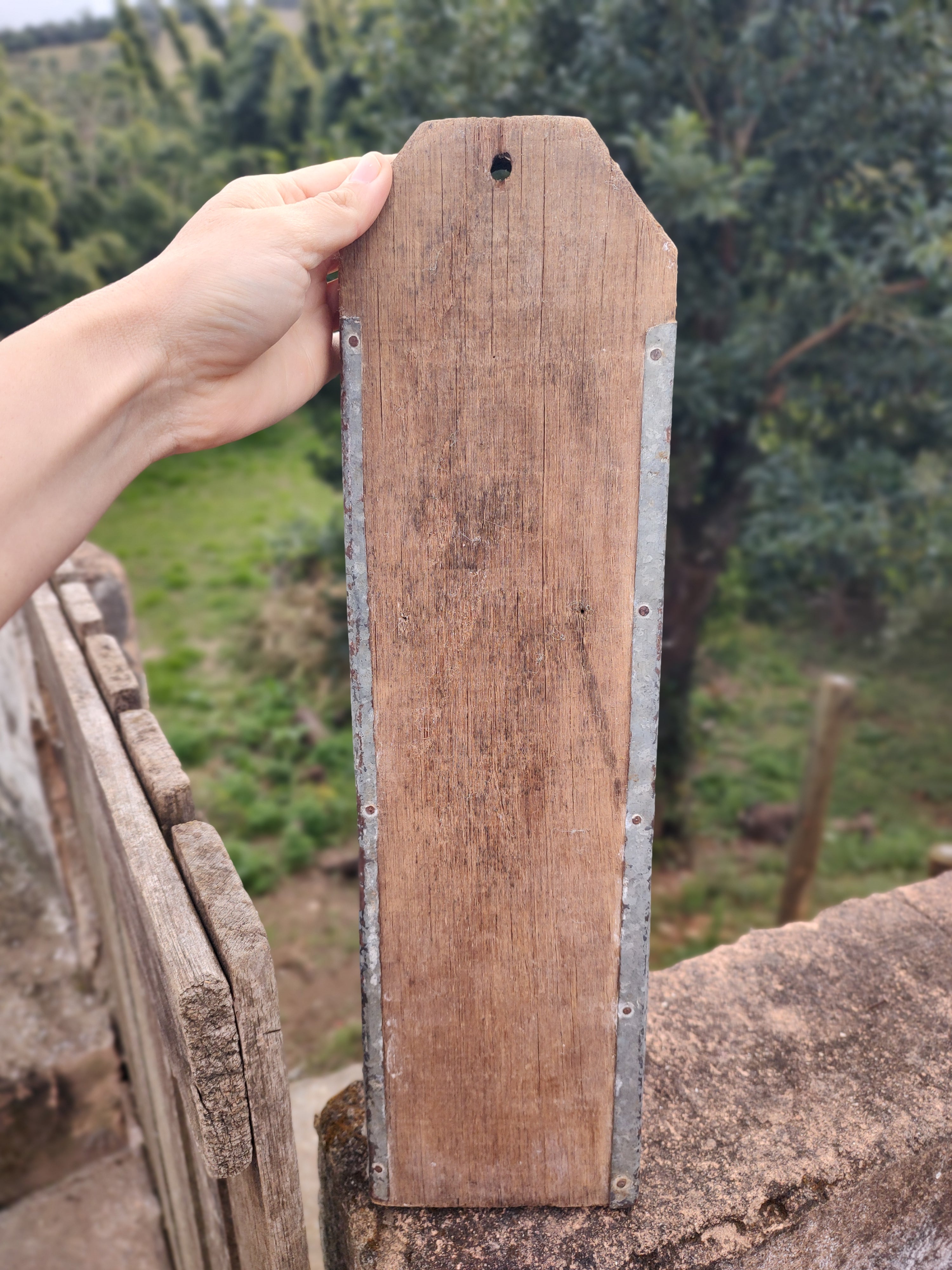 Antigo ralador de milho garimpado no interior de São Paulo (48cm x 13cm)