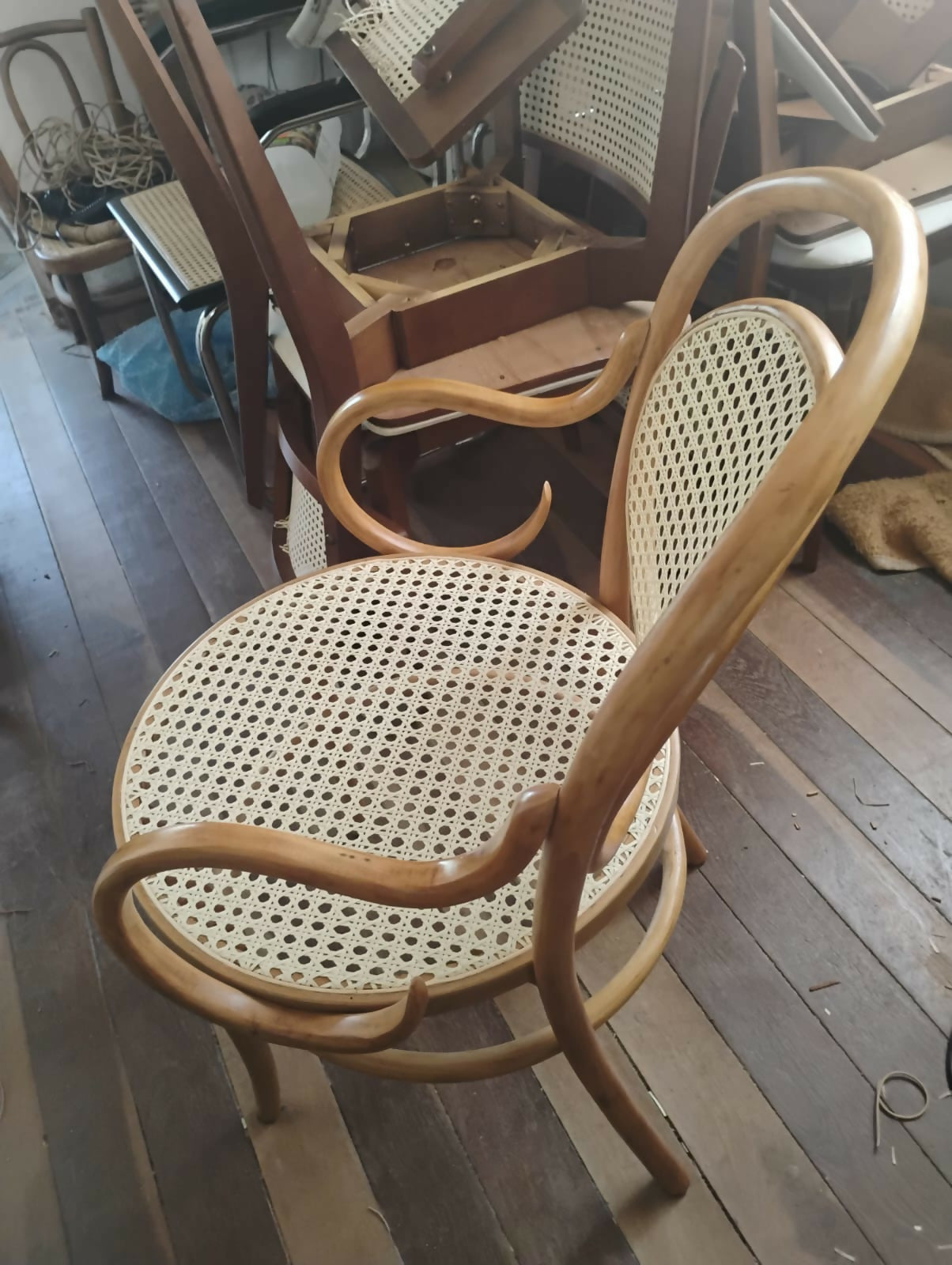 Recém Restaurado! Conjunto Thonet Modelo Panamá: Poltrona com Braços e Namoradeira