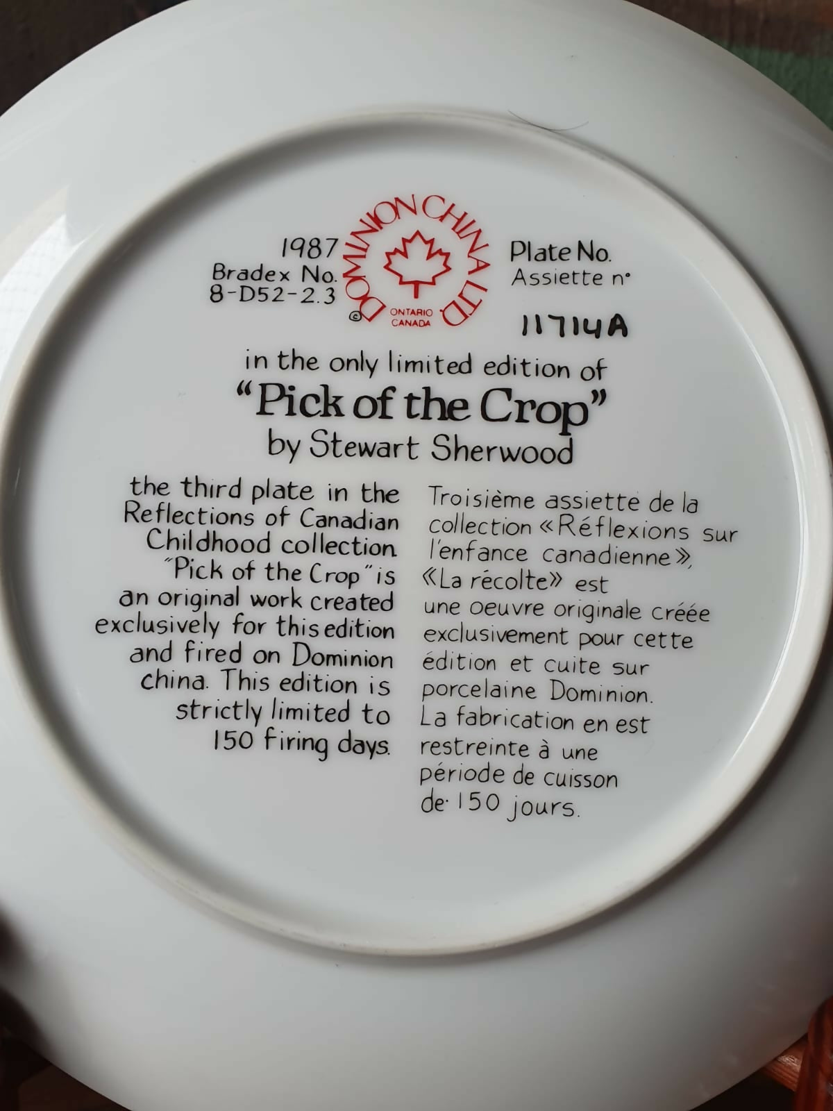 Prato decorativo raro de colecionador &quot;Pick of the Crop&quot;, 1987, Dominion China, Ontario Canada. Maravilhoso!