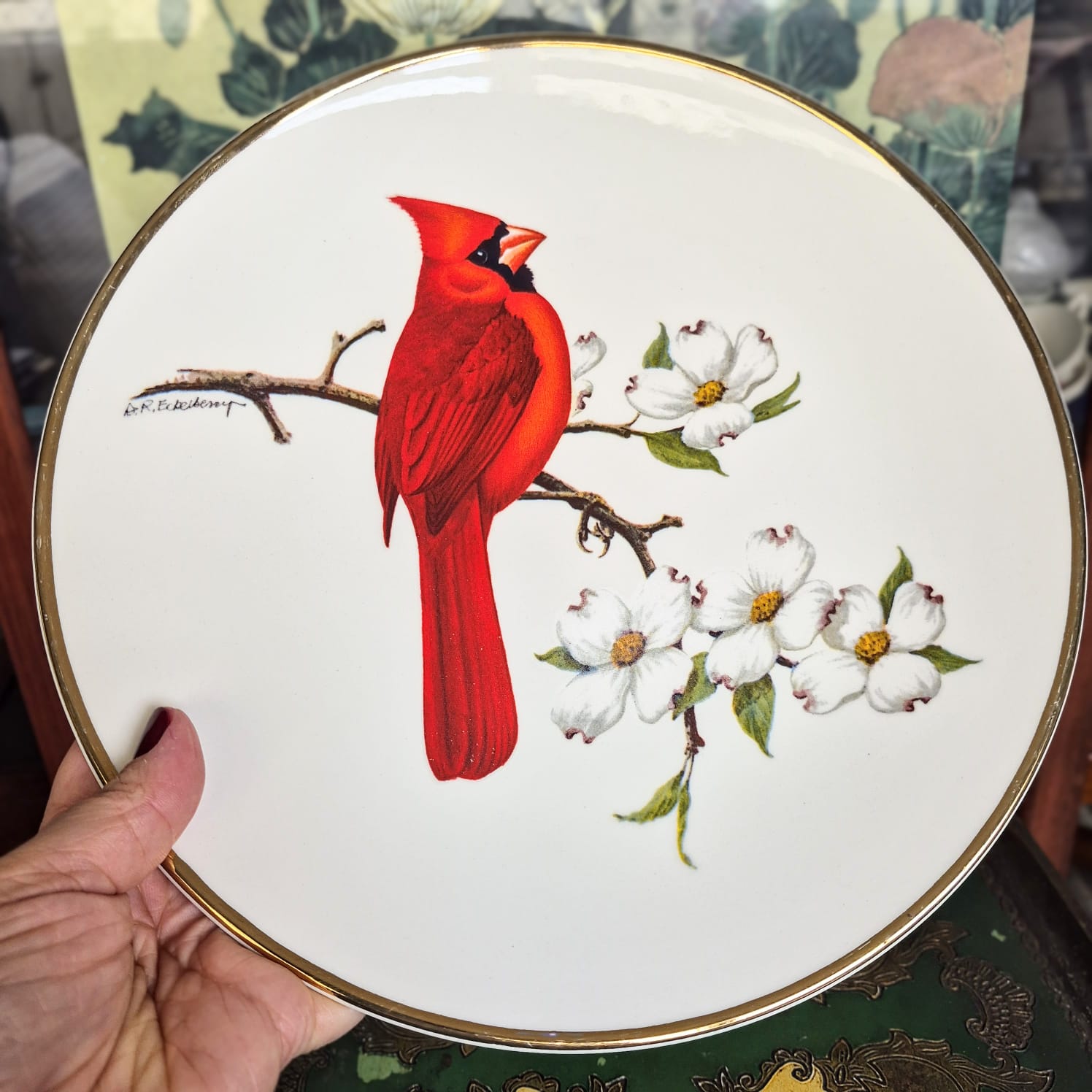  Prato decorativo maravilhoso da Avon, lançado em 1974, integrante da série "North American Songbird", modelo Cardeal Vermelho (pássaro vermelho) 