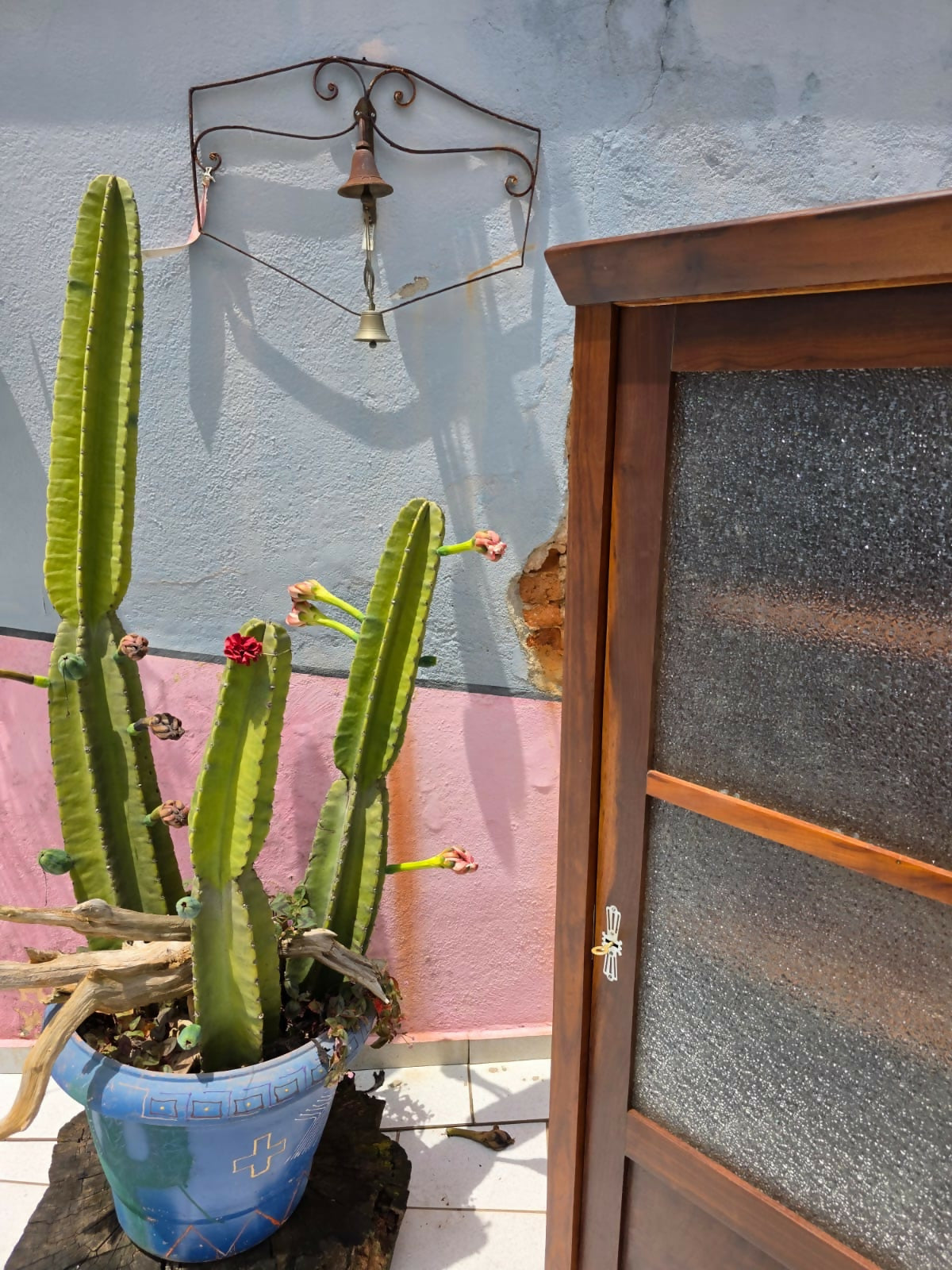 Estante/Livreiro miele portas de correr, década de 50