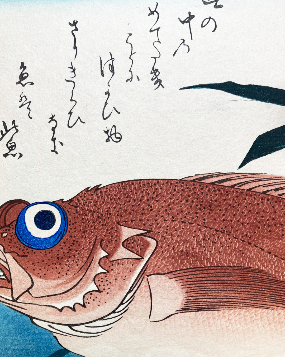 Xilogravura japonesa (Ukiyo-e) de Utagawa Hiroshige "Peixe Akodai e folhas de bambu" - Autêntica