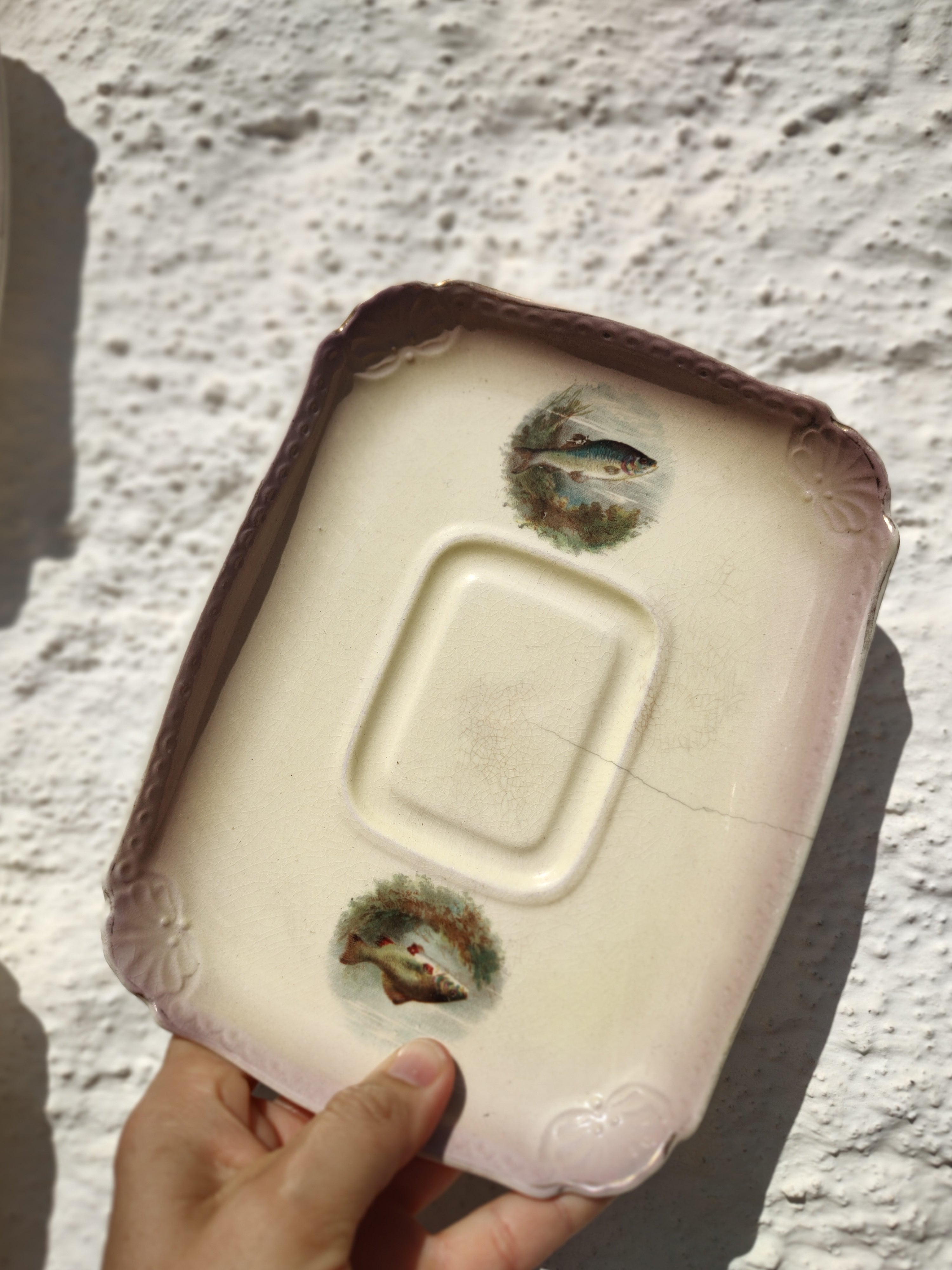 Raro e centenário conjunto de Pratos Decorativos com pequena travessa em Porcelana Alemã Royal Bonn com pinturas de peixes feita à mão