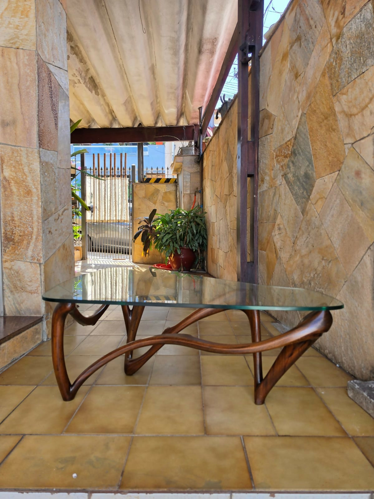Mesa de centro orgânica anos 50 com base em madeira esculpida e tampo de vidro