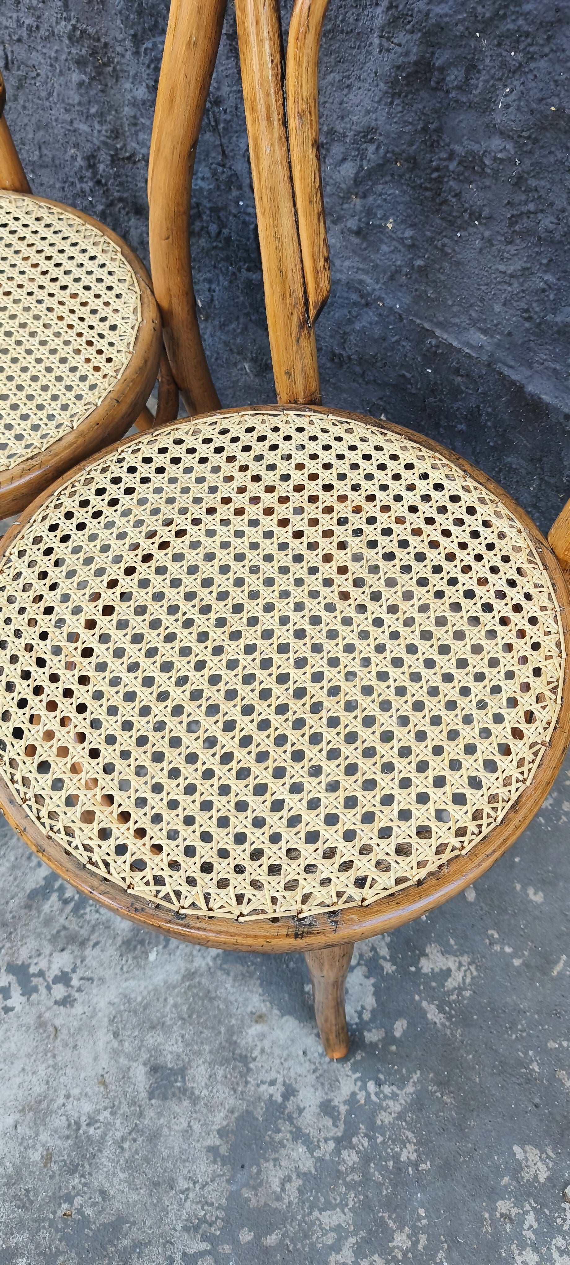 Rarissimo Par de Cadeiras Thonet nº14 em palhinha