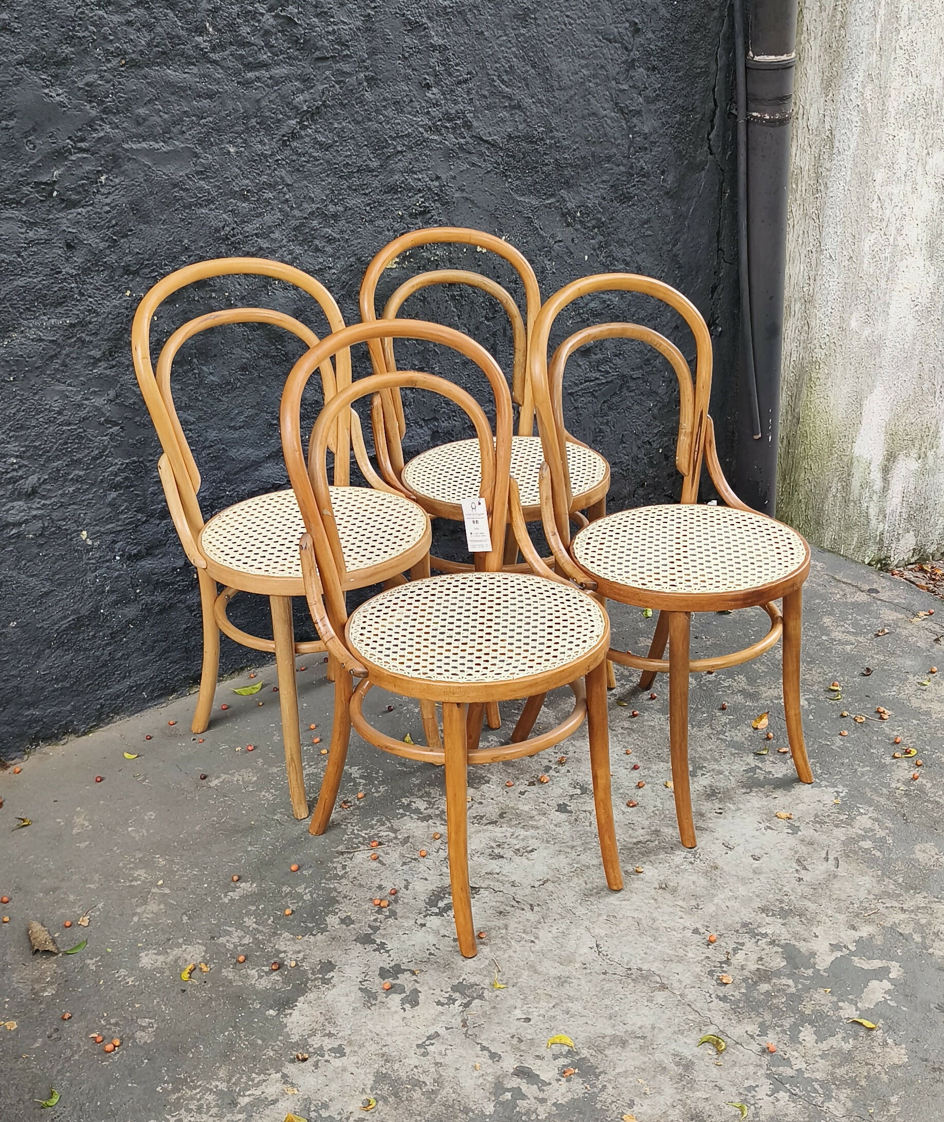 Quarteto de Cadeiras Thonart modelo Thonet