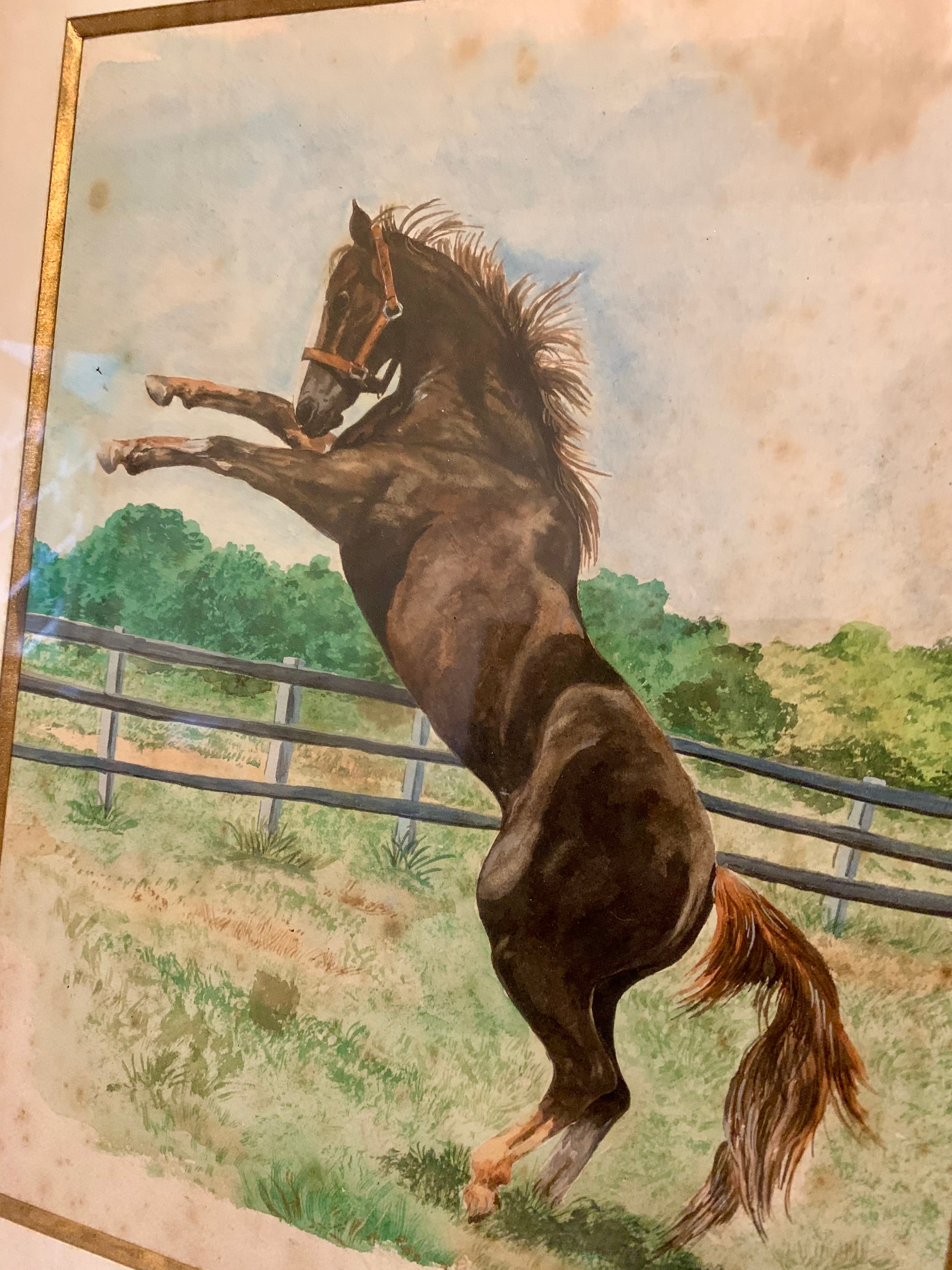 Quadro com antiga aquarela representando um belo cavalo marrom 