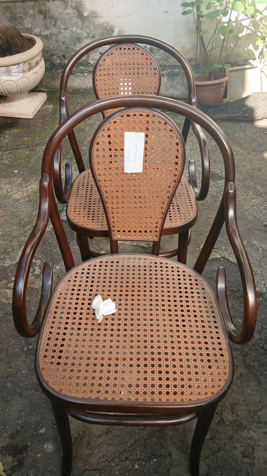 Par de poltronas AUSTRÍACAS Thonet