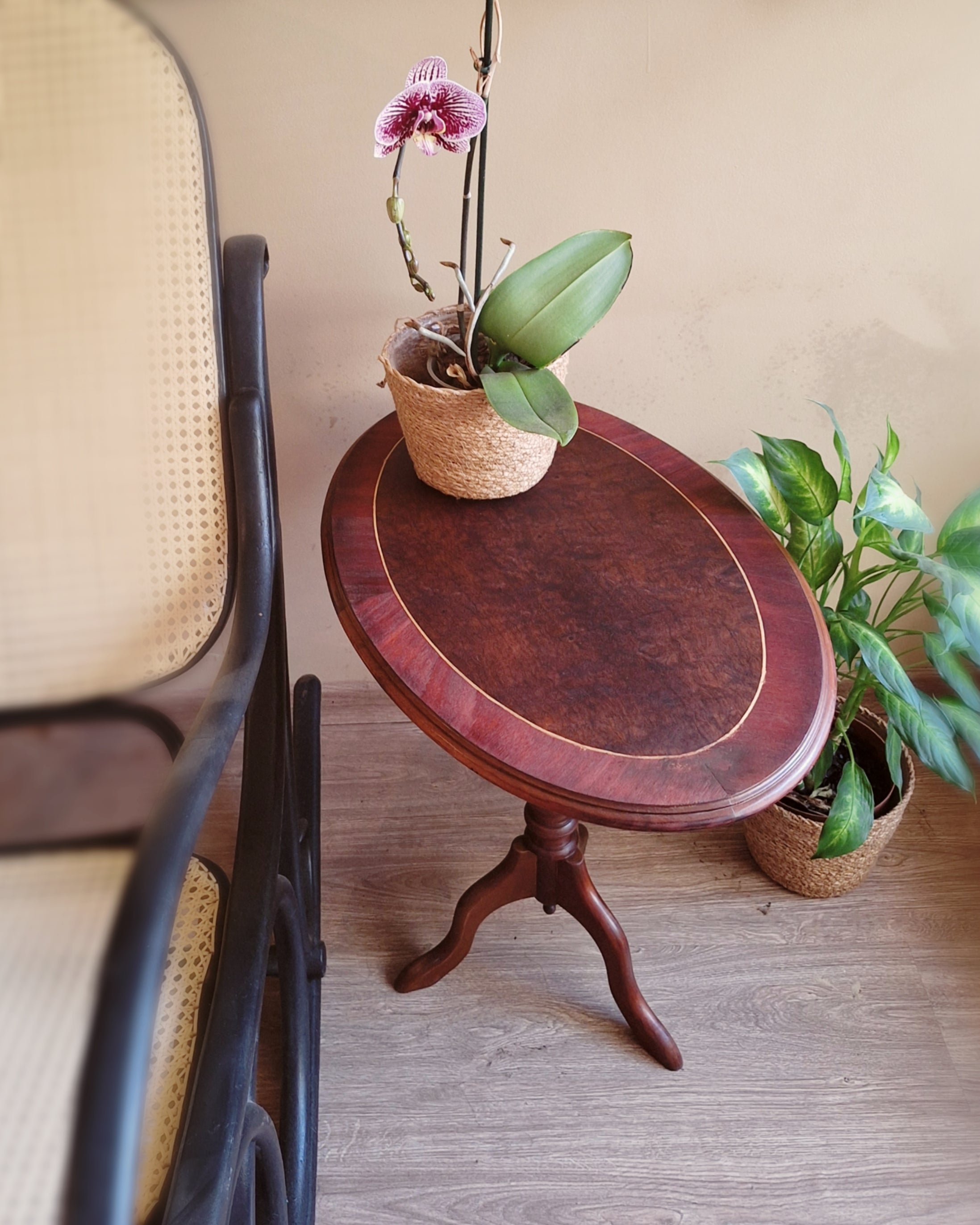 Mesa lateral com tampo oval em rádica e marchetaria