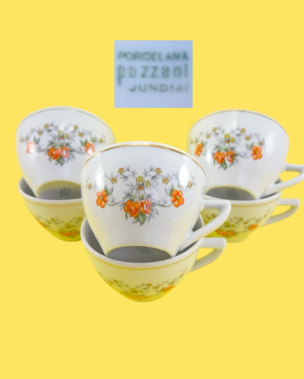 6 Xícaras de Chá Porcelana Pozzani