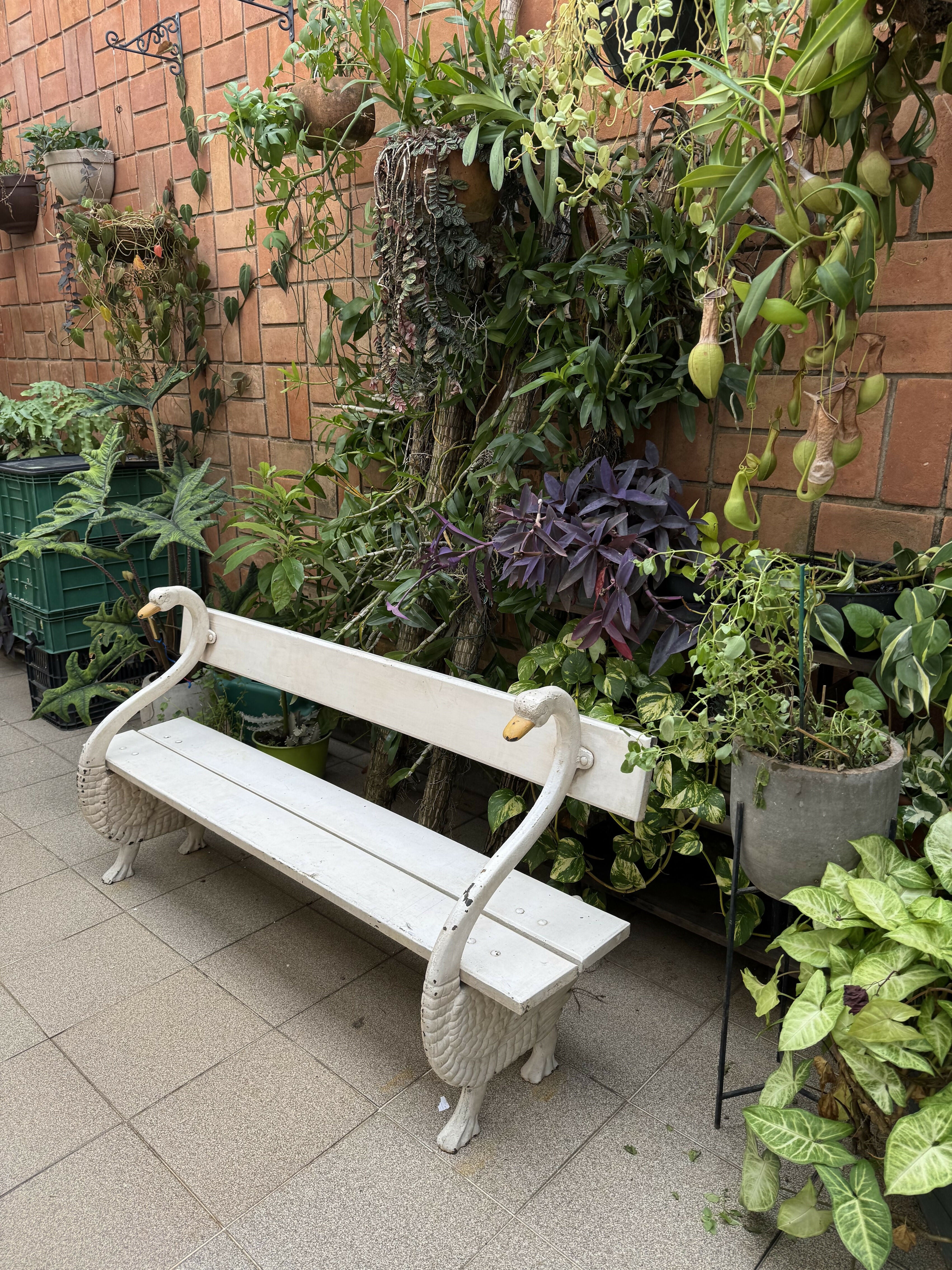 Banco de madeira em formato de dois cisnes